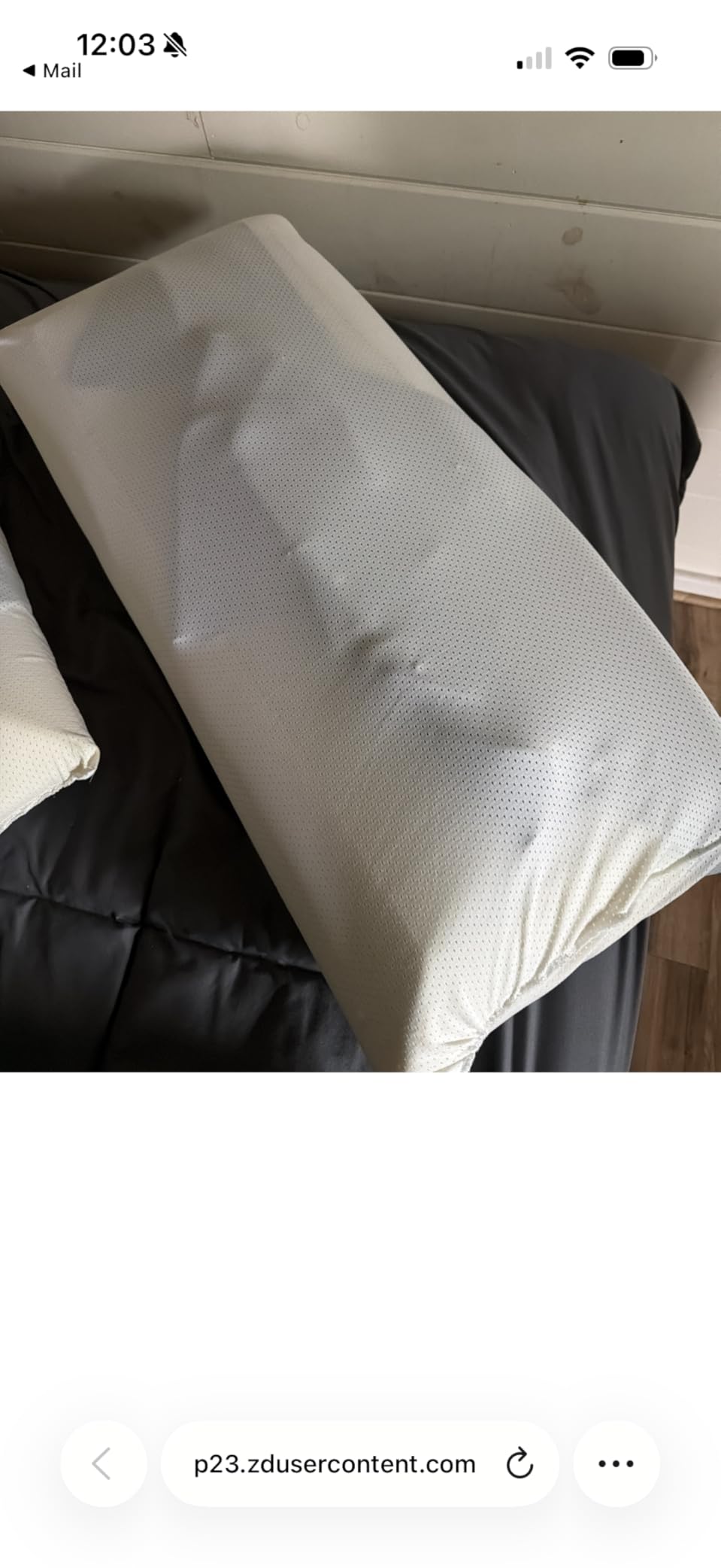 Tempur-Pedic TEMPUR-Cloud Dual Cooling Pillow, King (Pack of 1), White customer photo 1