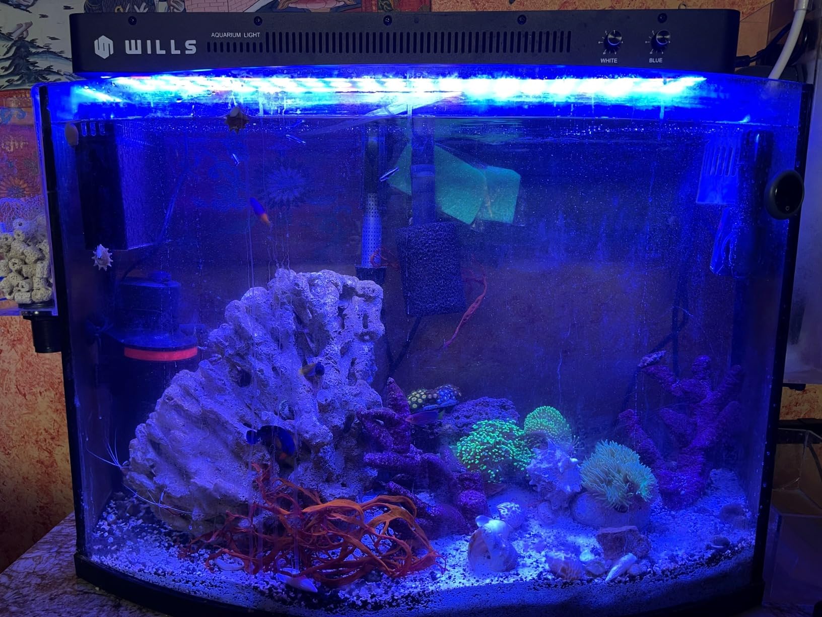 Wills Aquarium Light, 100W Full Spectrum LED Reef Lights, 16