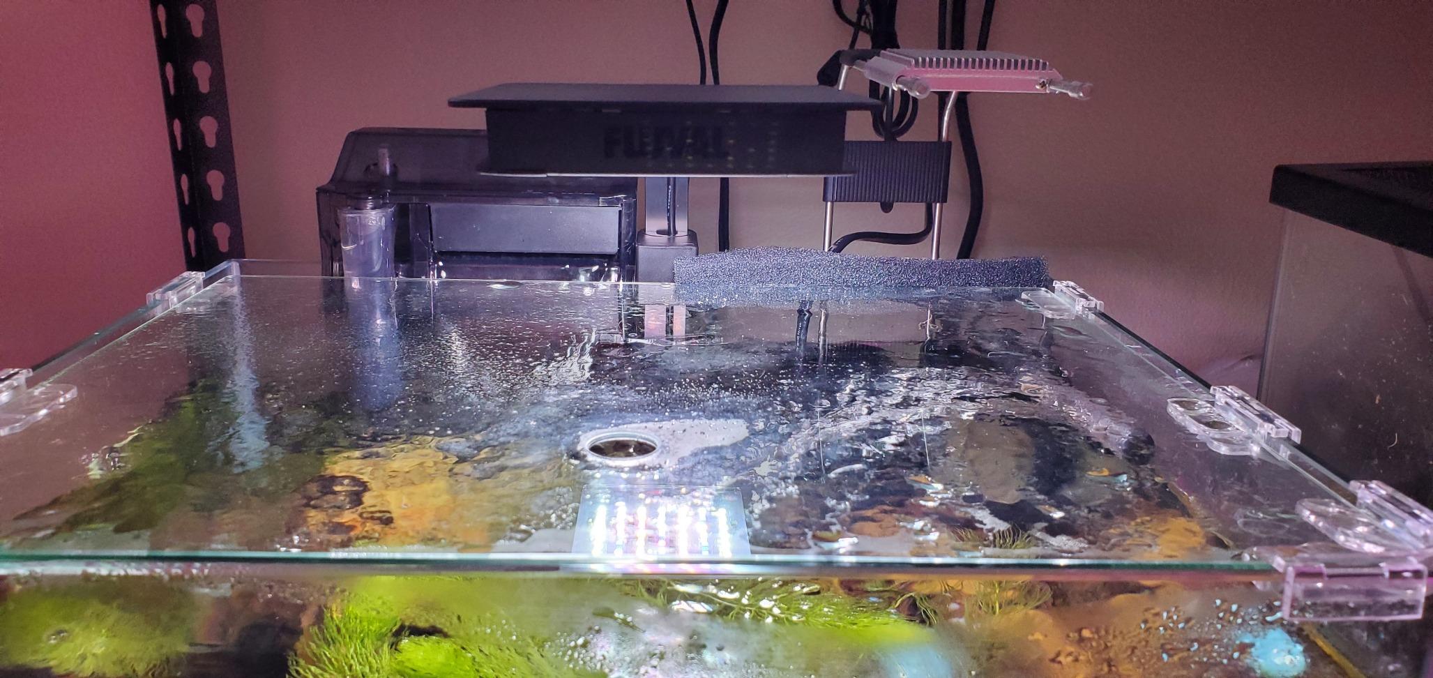 Fluval SEA Marine Nano LED Aquarium Lighting with Bluetooth, 20 Watts,Glass customer photo 1