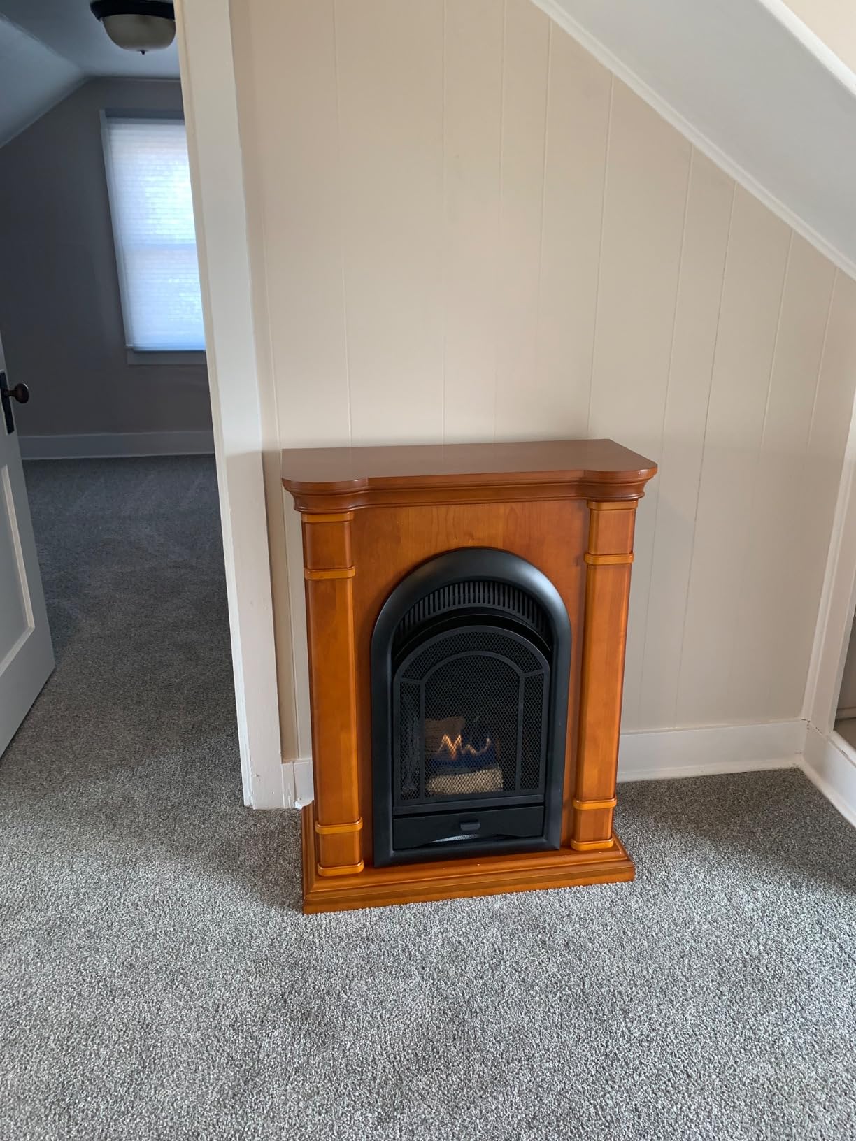 ProCom Dual Fuel Ventless Gas Fireplace System - 10,000 BTU, T-Stat Control, Apple Spice Finish - Model# FS100T-3AS customer photo 1