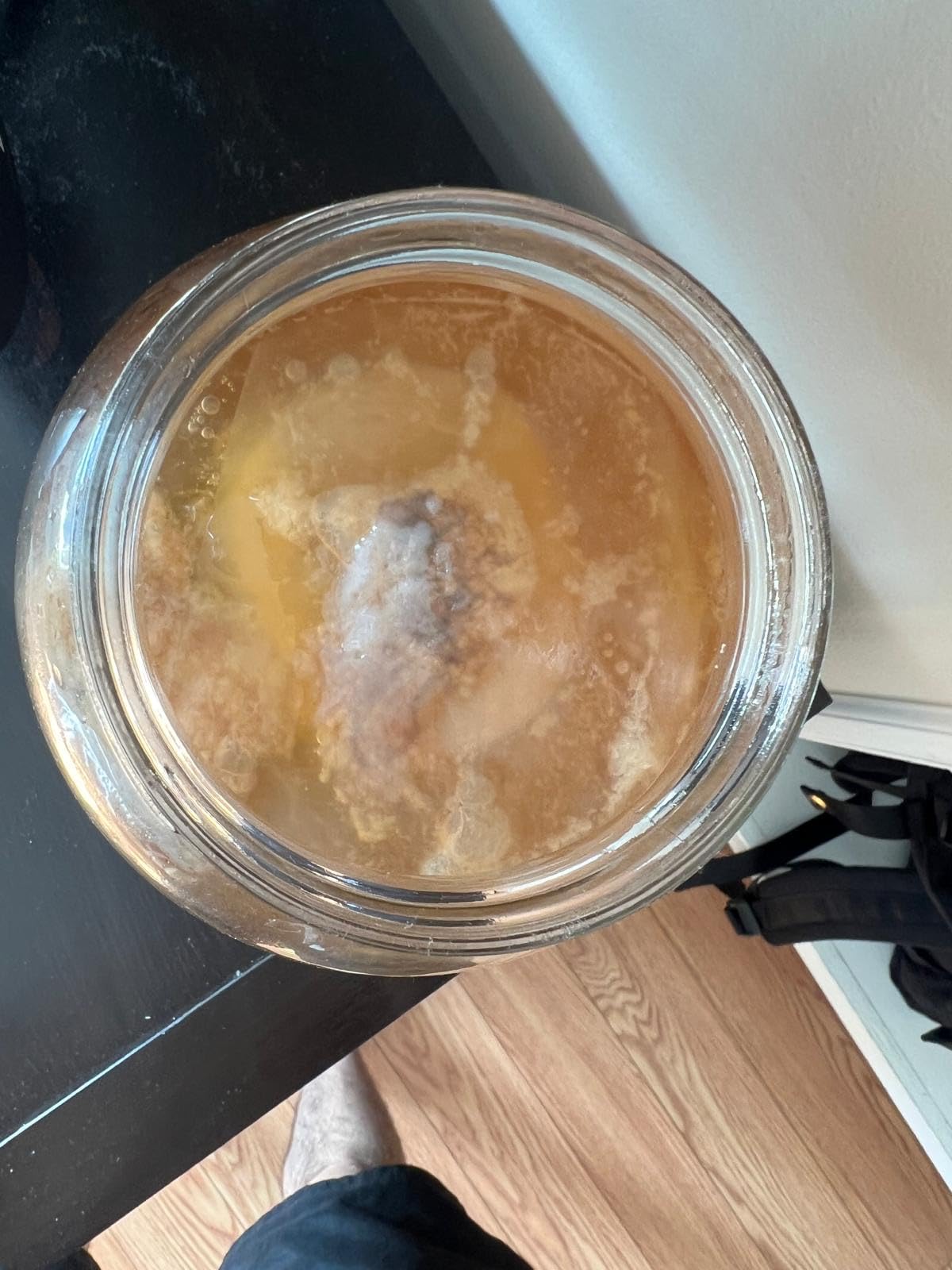 Starter Kit – Includes Organic SCOBY, Starter Liquid, 1 Gallon Glass Jar, Temp Gauge, Tea, and Sugar customer photo 1