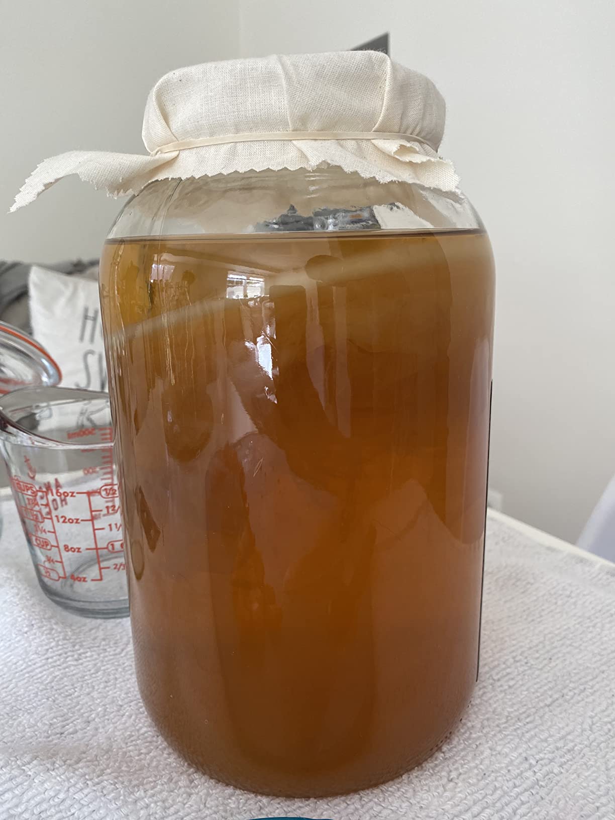 Starter Kit – Includes Organic SCOBY, Starter Liquid, 1 Gallon Glass Jar, Temp Gauge, Tea, and Sugar customer photo 2