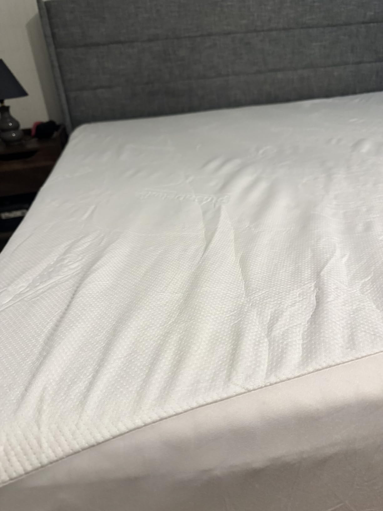 PlushDeluxe Bamboo Waterproof Mattress Protector, Twin XL Size, Ultra Soft | Breathable, Noiseless, Hypoallergenic, Washable, 39x80