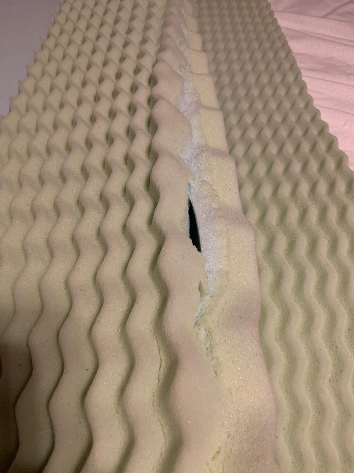 LUCID 2 Inch Gel Memory Foam Mattress Topper, Twin XL size - 5 Zones - Cooling Gel Infusion - CertiPur Certified Foam customer photo 1