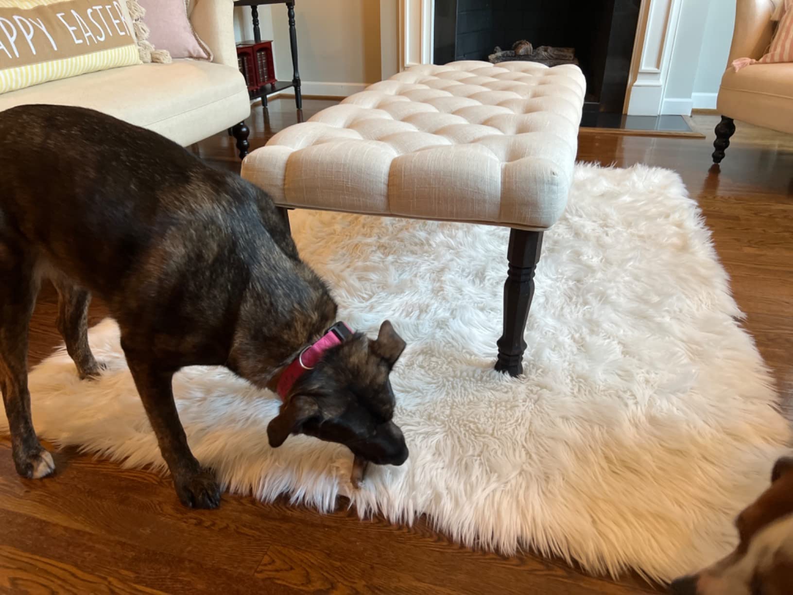 Carvapet 4x6 Faux Sheepskin Rug White Shaggy Faux Fur Carpet | Ultra Soft Faux Fur Rug with Plush Shaggy Texture and Non Slip Backing for Bedrooms, Living Rooms and Cozy Home Decor customer photo 2