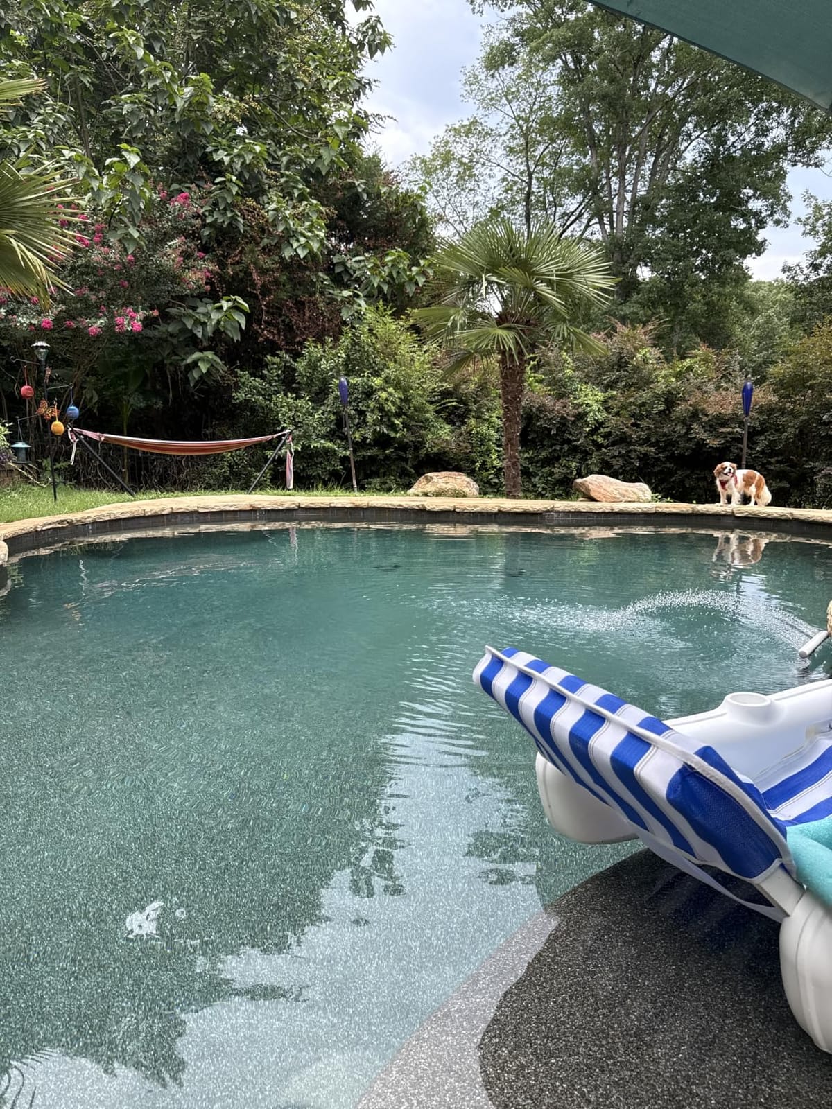 Hayward TurboCell Salt Cell for Pool Chlorination T-CELL-15 40,000 Gallons customer photo 1