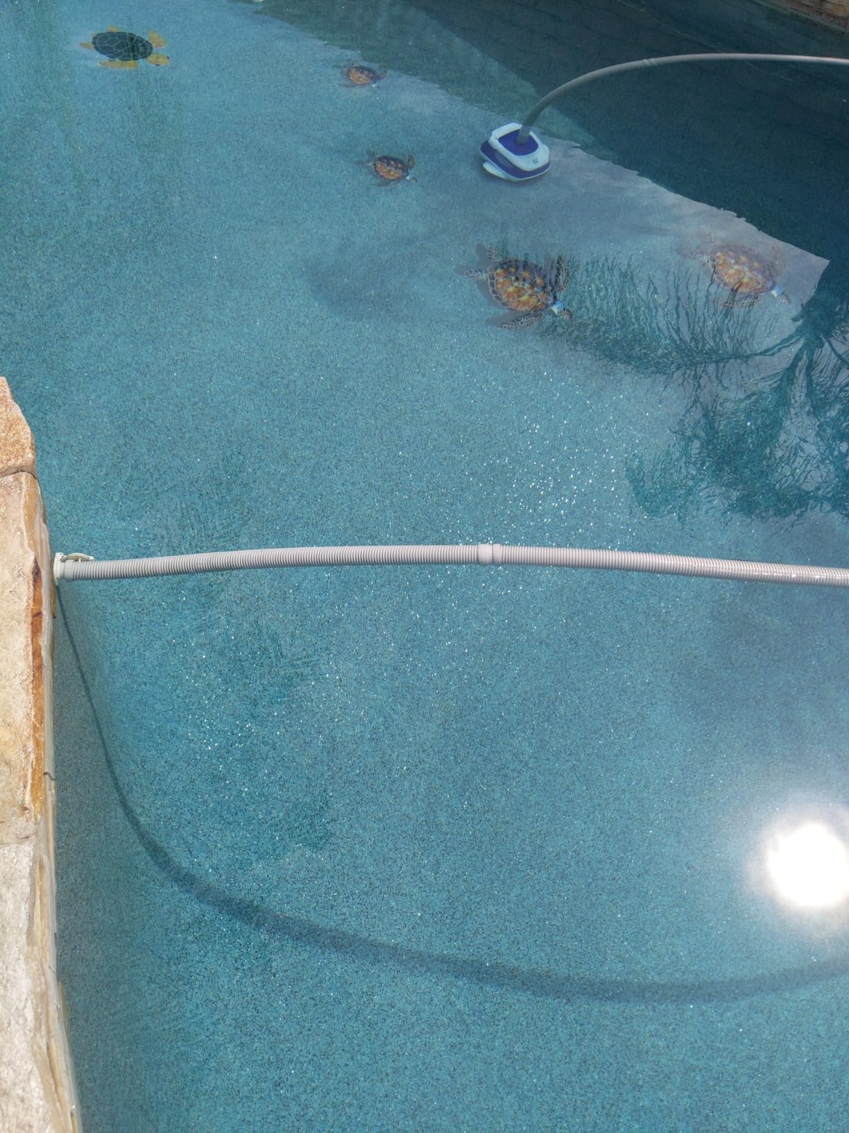 Hayward Navigator Pro Pool Suction Cleaner for Inground Pools up to 20x40ft customer photo 1