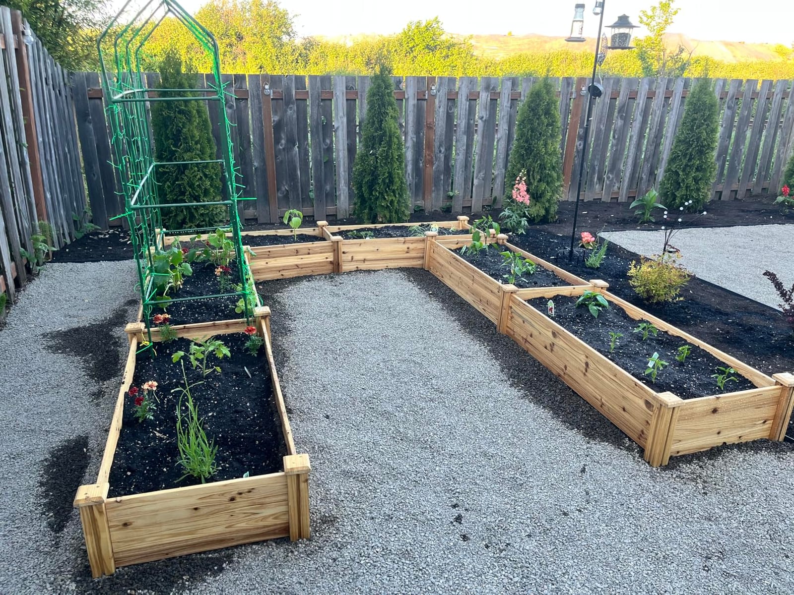Yaheetech Raised Garden Bed Wooden Planter Box for Vegetables/Flowers, Wood customer photo 1