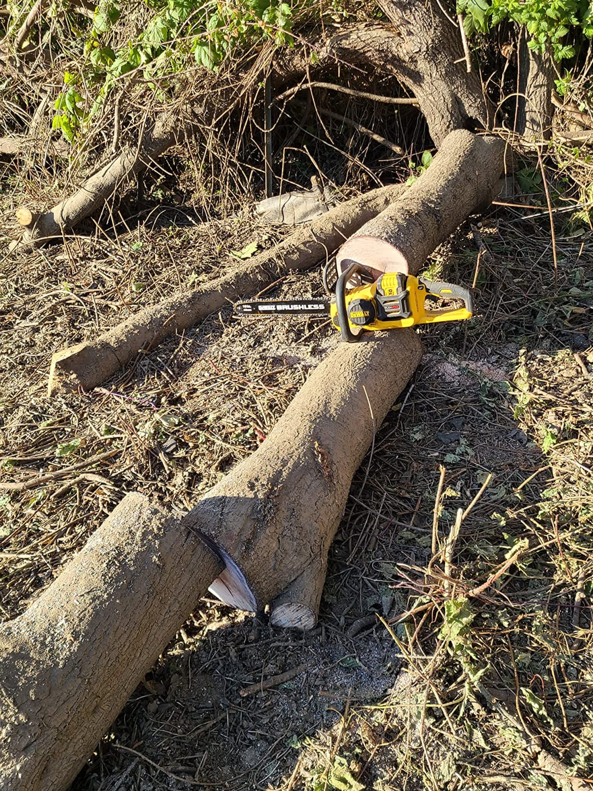 DEWALT FLEXVOLT CHAINSAW 60V 2Ah 16IN customer photo 2