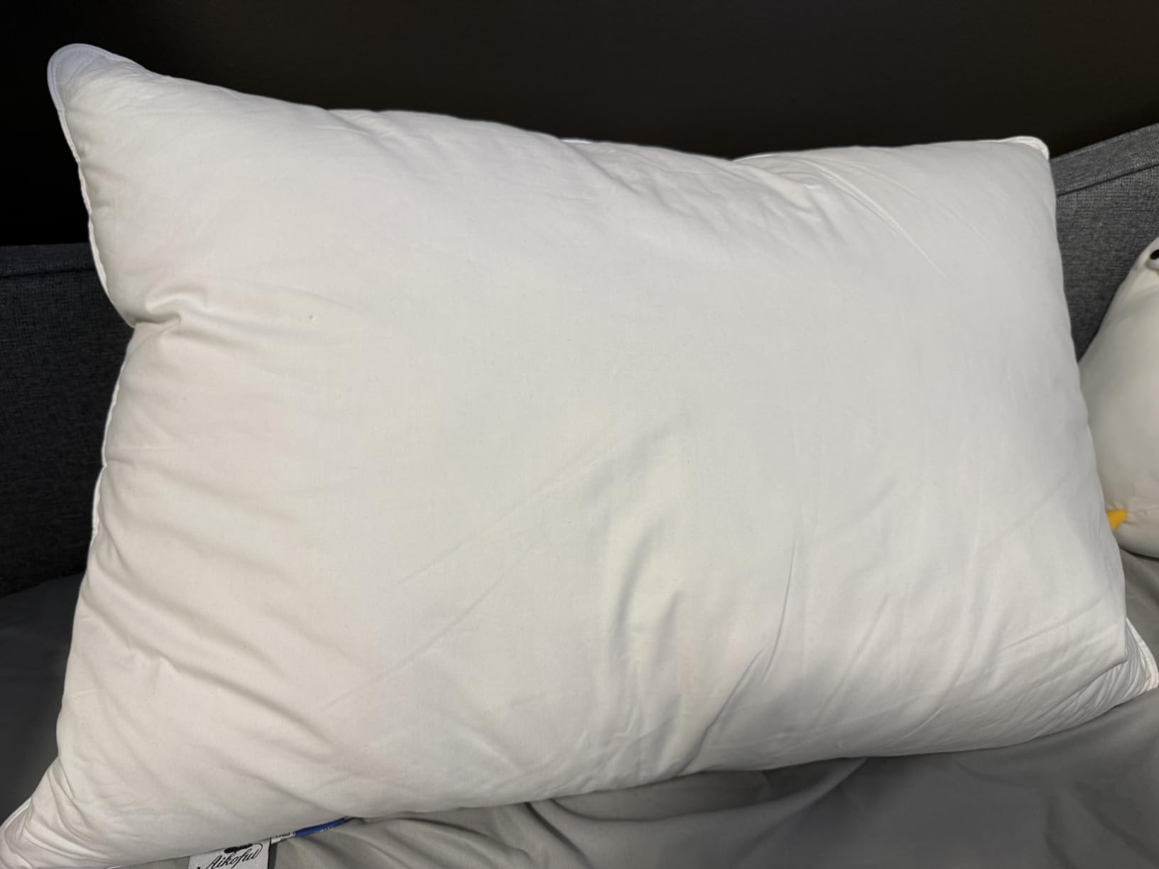 Goose Feathers and Down Pillow, Bed Pillow Queen Size Set of 1 | Hotel Collection, Soft Pillows For Sleeping, All Sleeping Positions, 100% Cotton Cover, Downproof, White customer photo 1