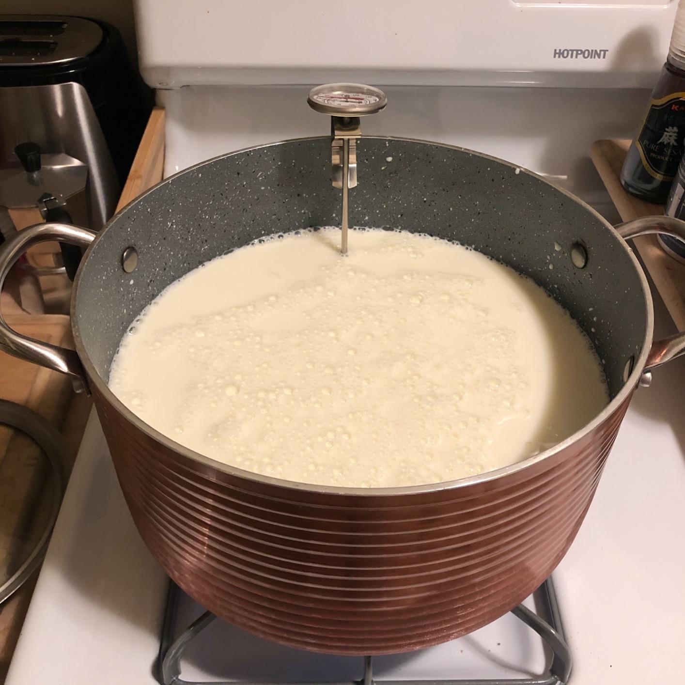 The Big Cheese Ultimate Cheese Making Kit - Makes 10 Cheeses (Mozzarella, Mascarpone, Feta, Ricotta + 6 More) - 40 Batches with Rennet & Recipe Book customer photo 2
