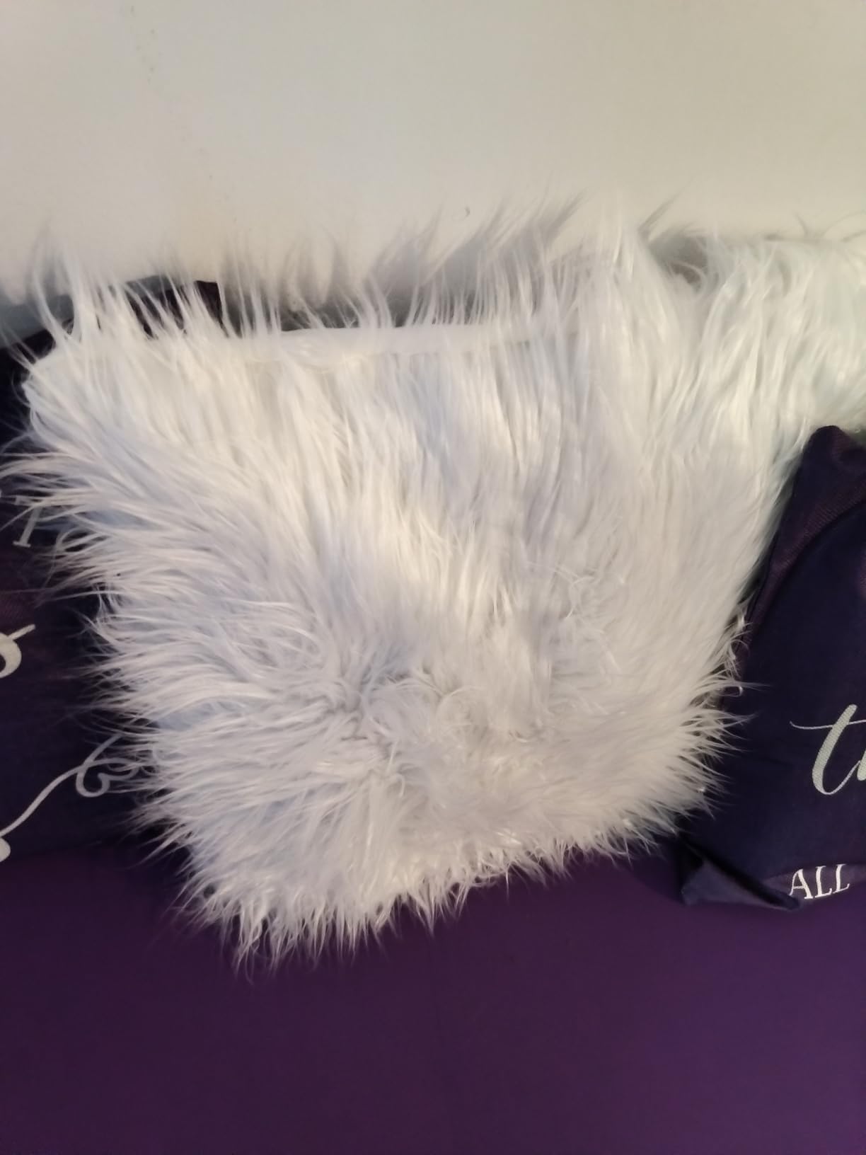 Light Grey Faux Fur Throw Pillow Covers 18x18 Inch Set of 2 | Luxury Fluffy Shaggy Plush Cushion Cases for Couch Sofa Bed Living Room Decor, Soft Fuzzy Pillow Covers with Hidden Zipper customer photo 1
