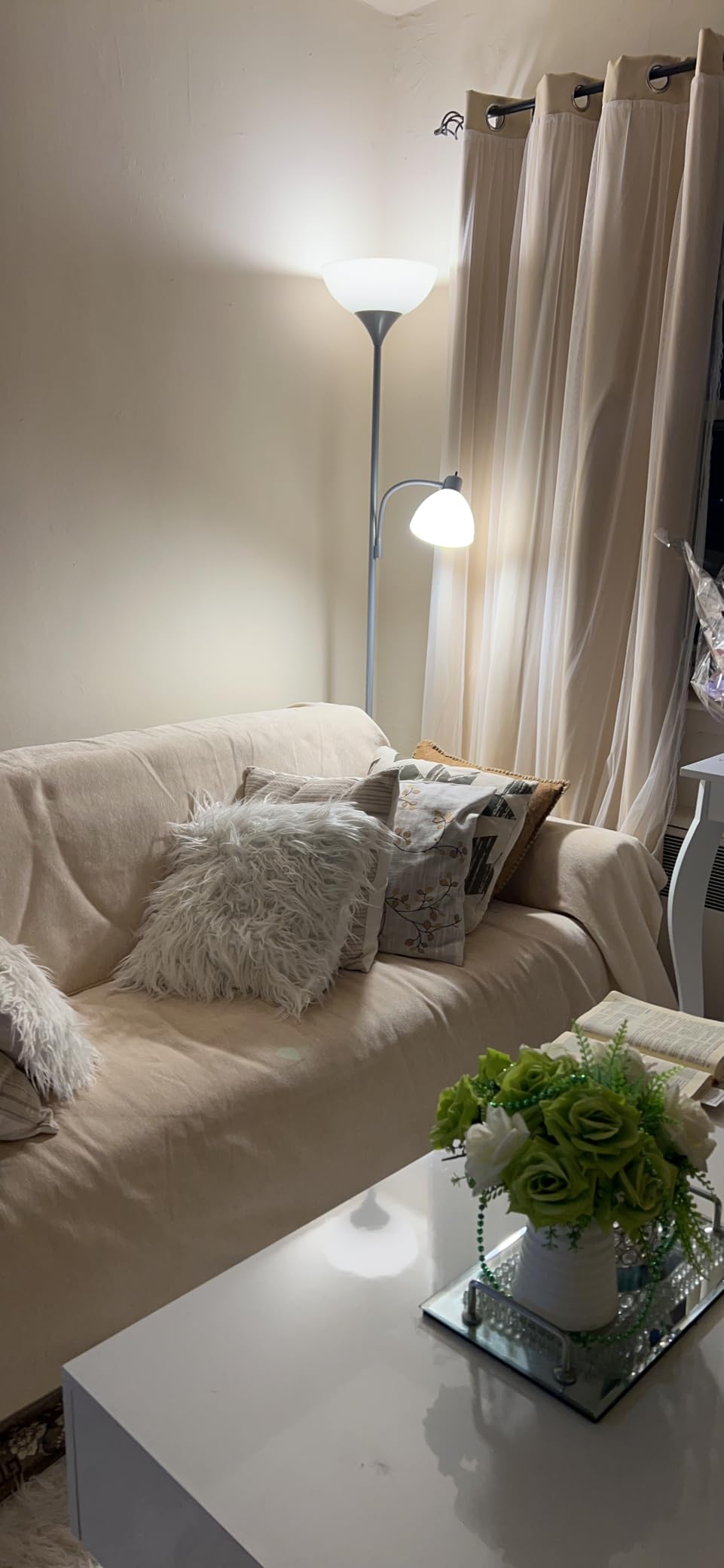 Brightech Sky Dome Plus LED Floor Lamp, Torchiere Super Bright Floor Lamp with Reading Lamp for Living Rooms & Offices - Dimmable Tall Standing Lamp for Bedroom Reading - Black customer photo 1