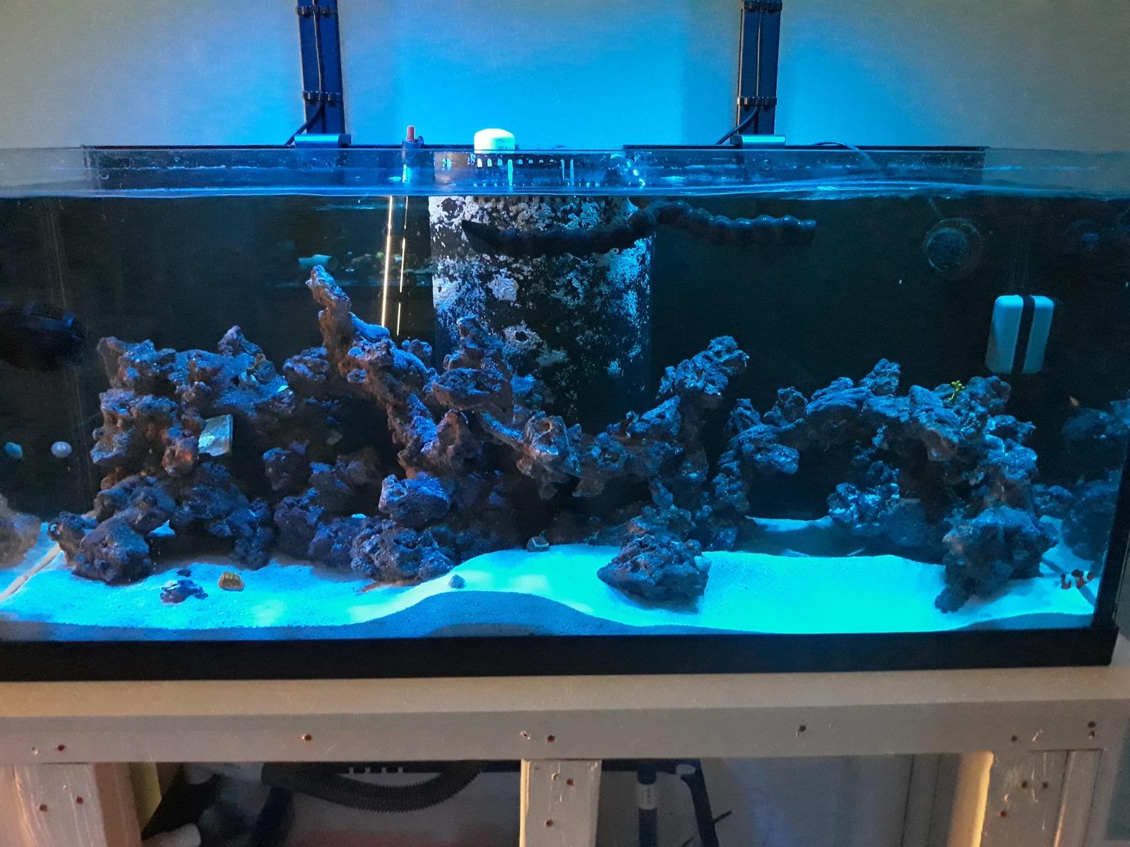 AquaIllumination Hydra 32 LED Aquarium Light - Full Spectrum Lighting for Coral Growth, Wireless Control, High PAR Output, Energy Efficient - for Saltwater Reef Tank Aquariums - Black customer photo 1