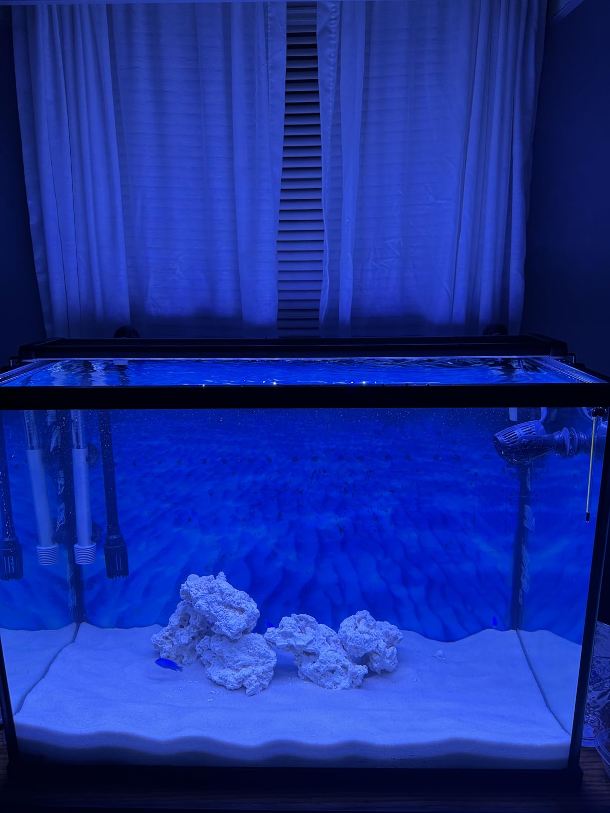 NICREW 32W Saltwater Aquarium Light, Marine LED Reef Light for Corals, Programmable Timer Controller, 30 to 36-Inch customer photo 1