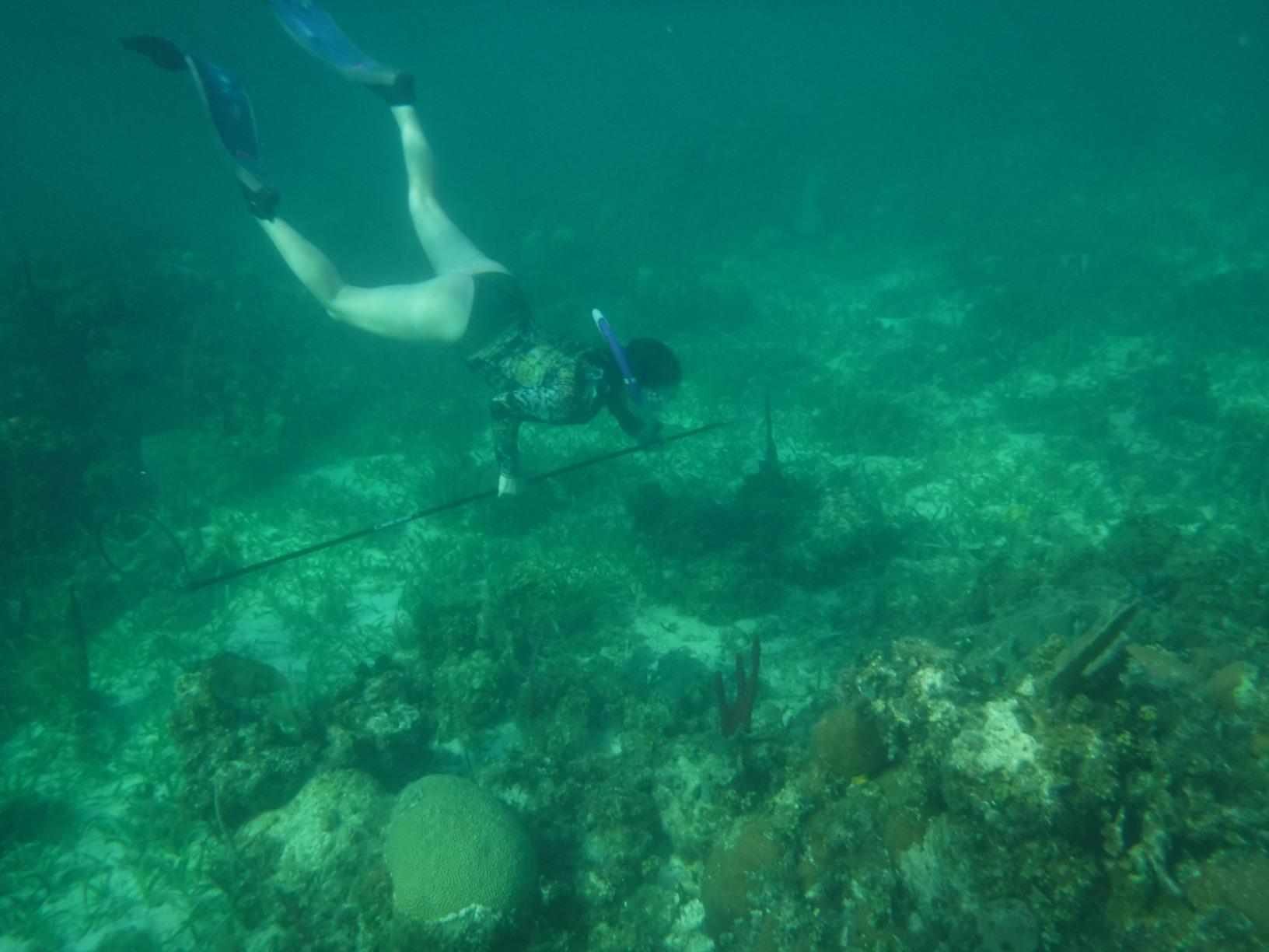 Seac Motus Long Free Diving Soft and Powerful Fins for Spearfishing customer photo 2