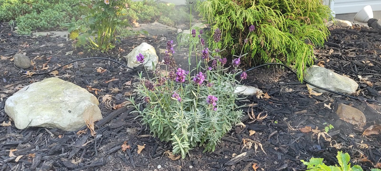 homenote Misting Cooling System, 59FT Pre-Assembled Mister Kit customer photo 2