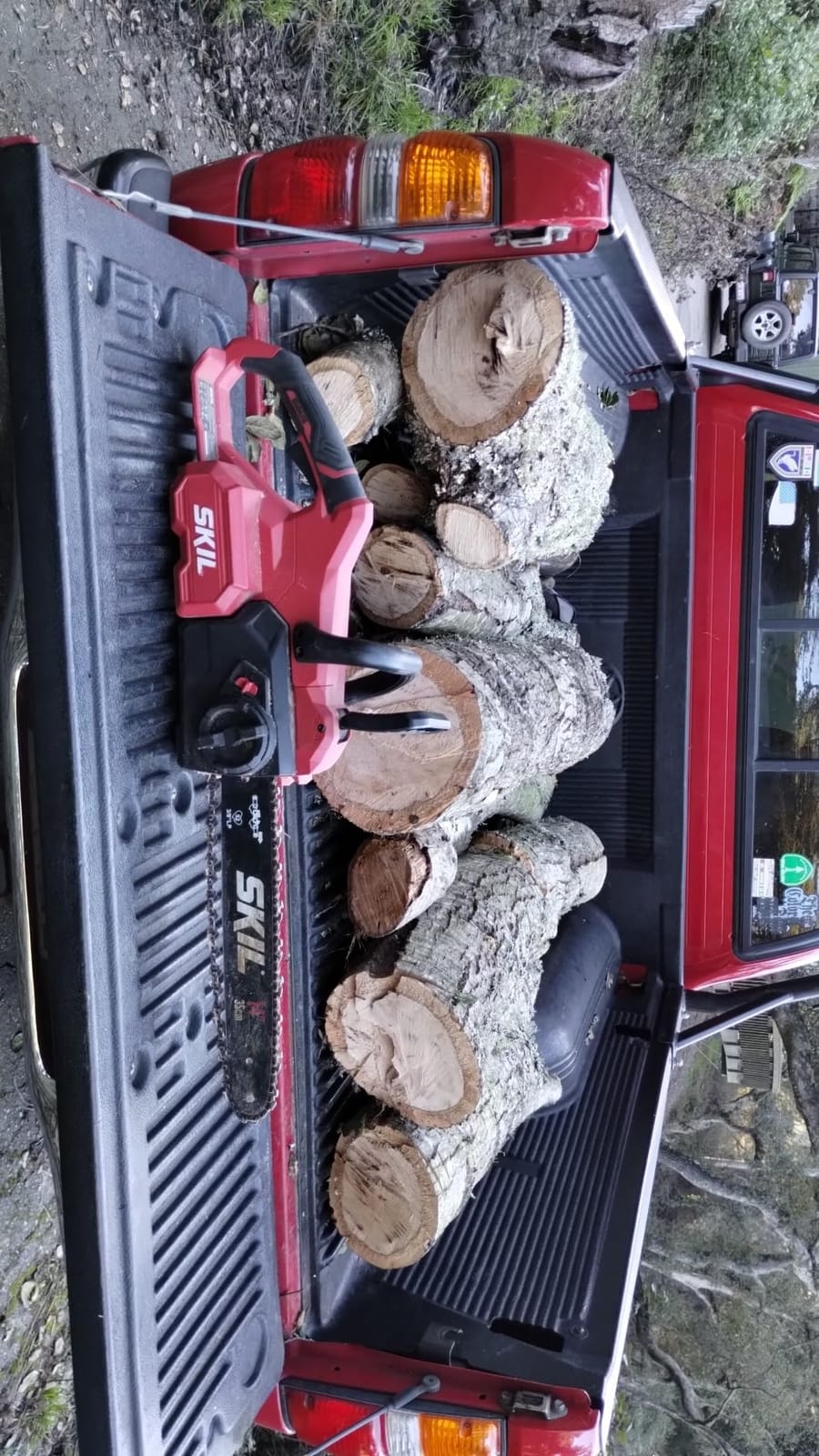 SKIL PWR CORE 40 Brushless 40V 14” Lightweight Chainsaw Kit with Tool-free Chain Tension & Auto Lubrication, Includes 2.5Ah Battery and Auto PWR Jump Charger - CS4555-10 customer photo 1