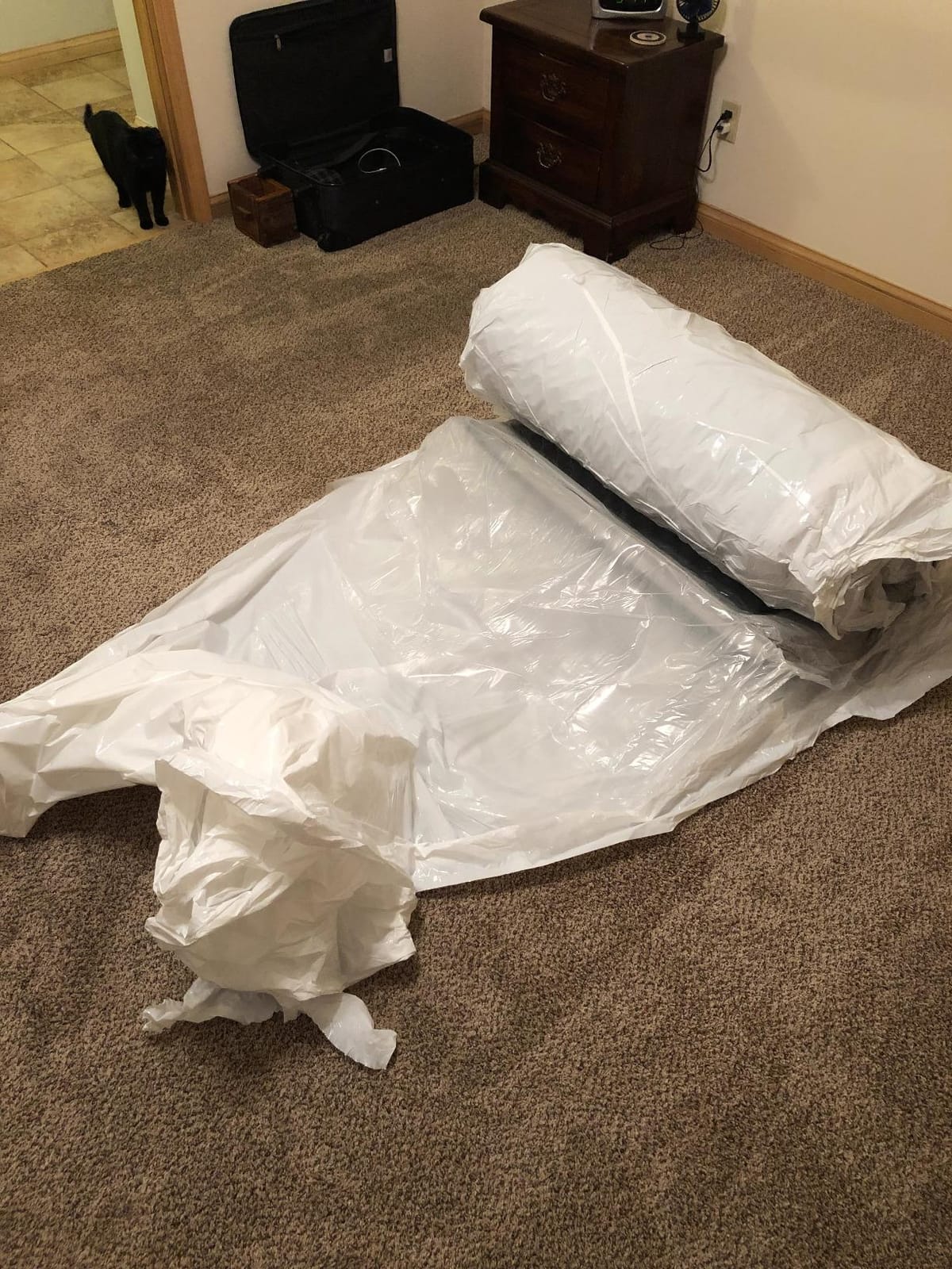 Casper Sleep Original 11