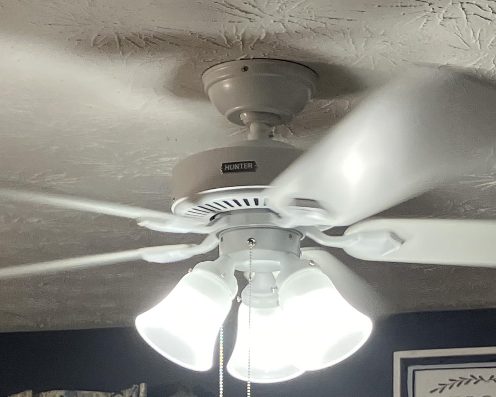Hunter Swanson, Indoor, Ceiling Fan, with LED Lights, 44 inch, Fresh White customer photo 1