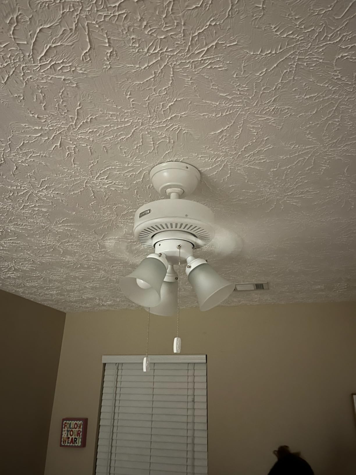 Hunter Swanson, Indoor, Ceiling Fan, with LED Lights, 44 inch, Fresh White customer photo 2