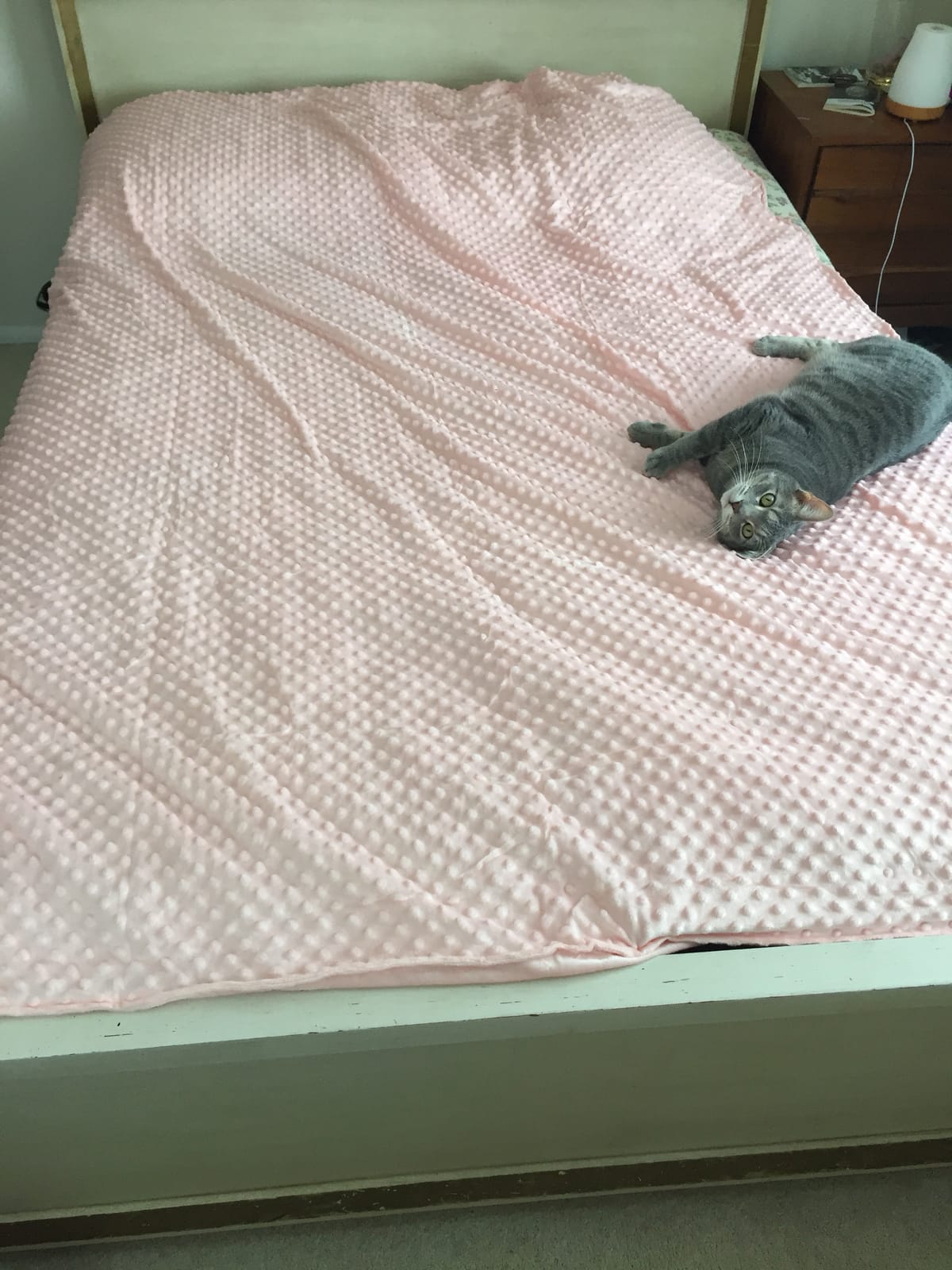 Acdyion Weighted Blanket Cover 48x72, Grey Minky Dot & Fleece Removable Duvet Cover with 12 Ties, Washable Fabric for 48x72 Weighted Blankets, Soft Minky and Cozy Fleece Dual-Sided Cover customer photo 1