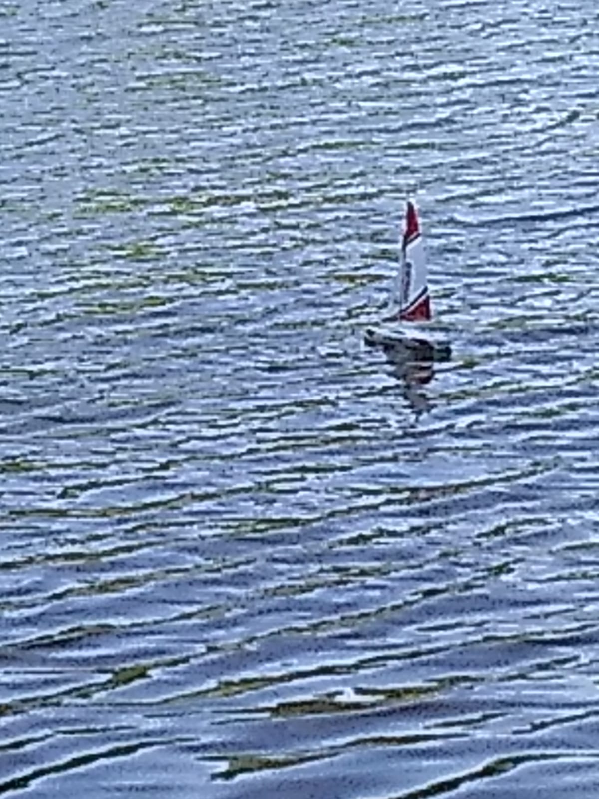 Voyager 280 RC Controlled Wind Powered Sailboat in Blue -17.5