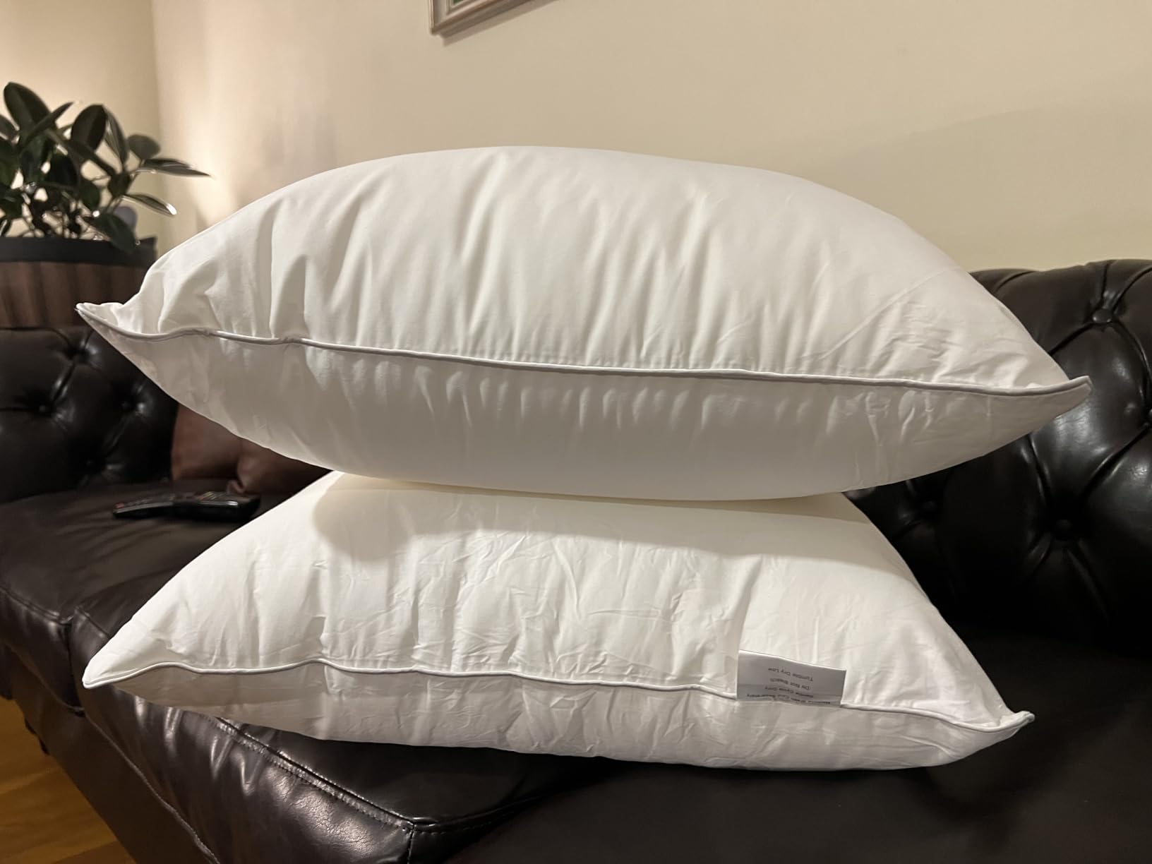 FAVRIQ 16 x 16 Pillow Inserts (Set of 2) - 16 Inch Square Interior Sofa Throw Pillow with 100% Cotton Cover - Decorative Pillow Insert Pair - White Couch Pillow customer photo 1