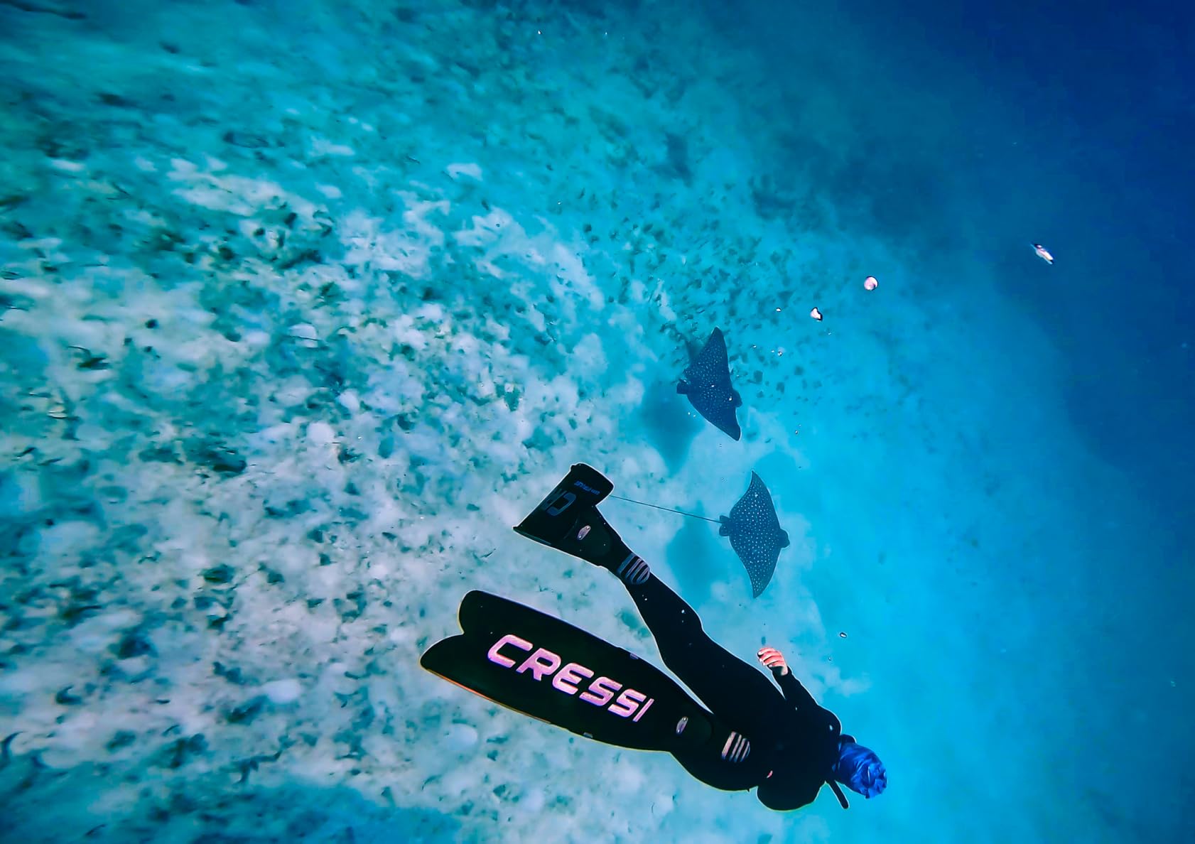 Cressi Gara Modular Impulse Fins for Freediving with Interchangeable Blades, Made in Italy customer photo 1