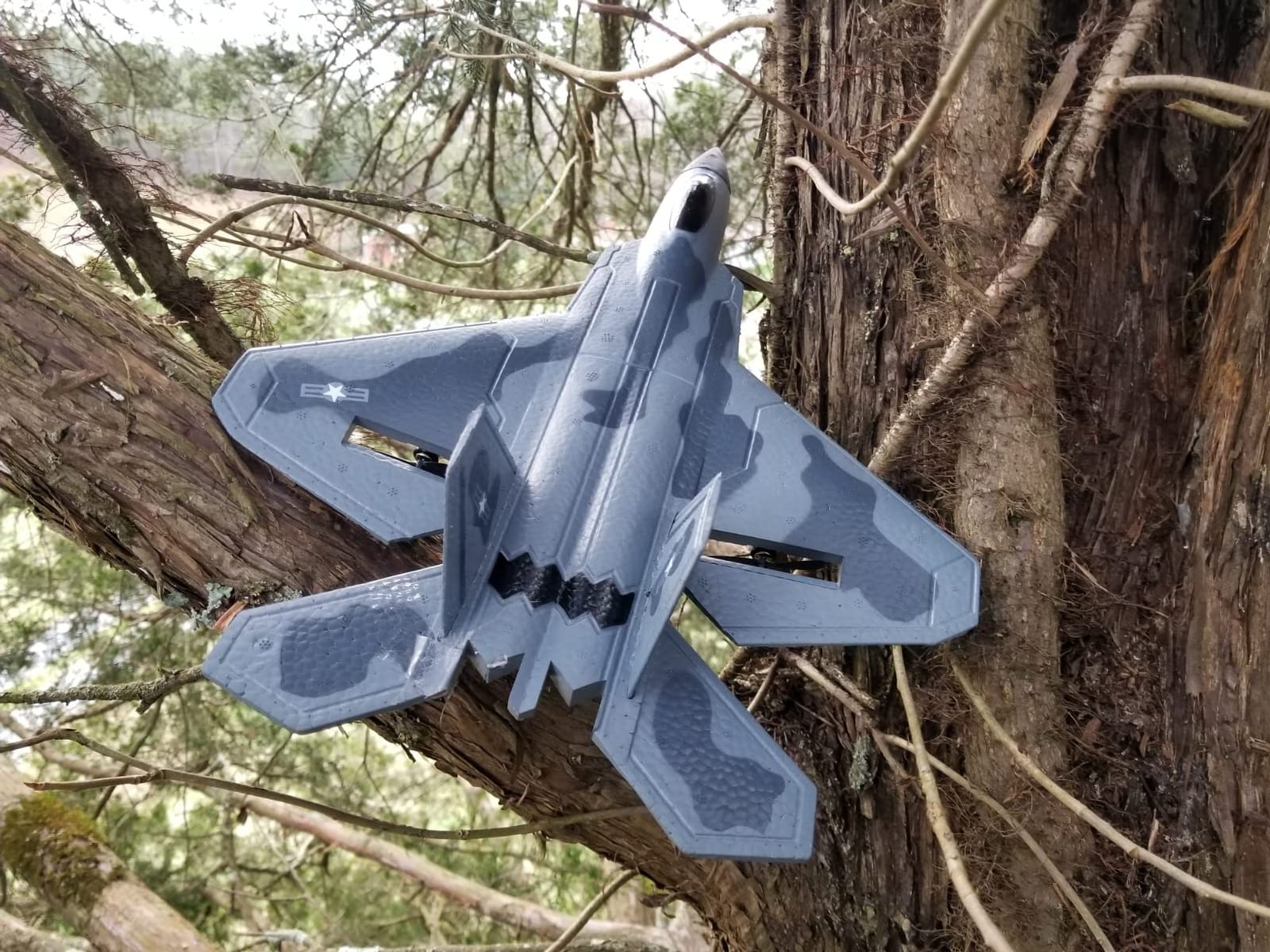 2CH F-22 RC Glider, Easy Fly RC Plane for Kids & Beginners customer photo 2