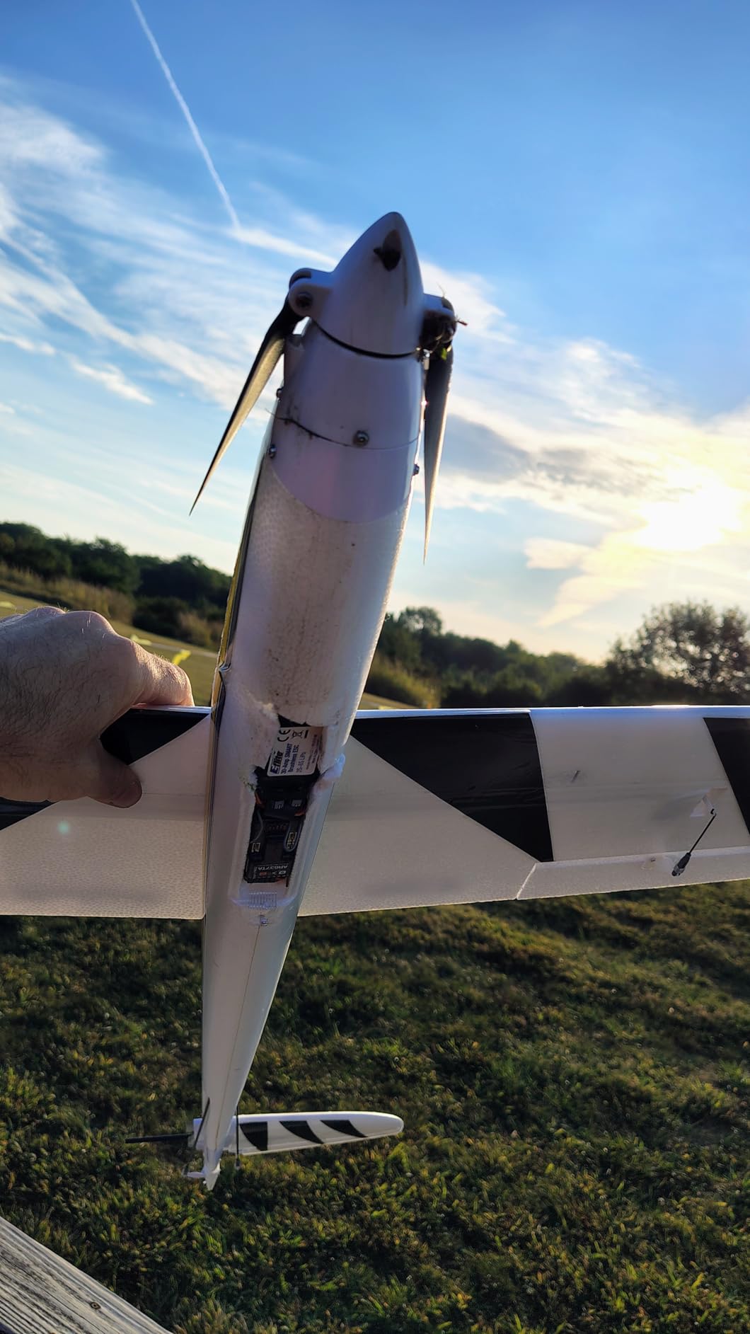 E-flite RC Airplane Conscendo Evolution 1.5m BNF Basic Transmitter Battery and Charger Not Included with Safe Select EFL01650 customer photo 1