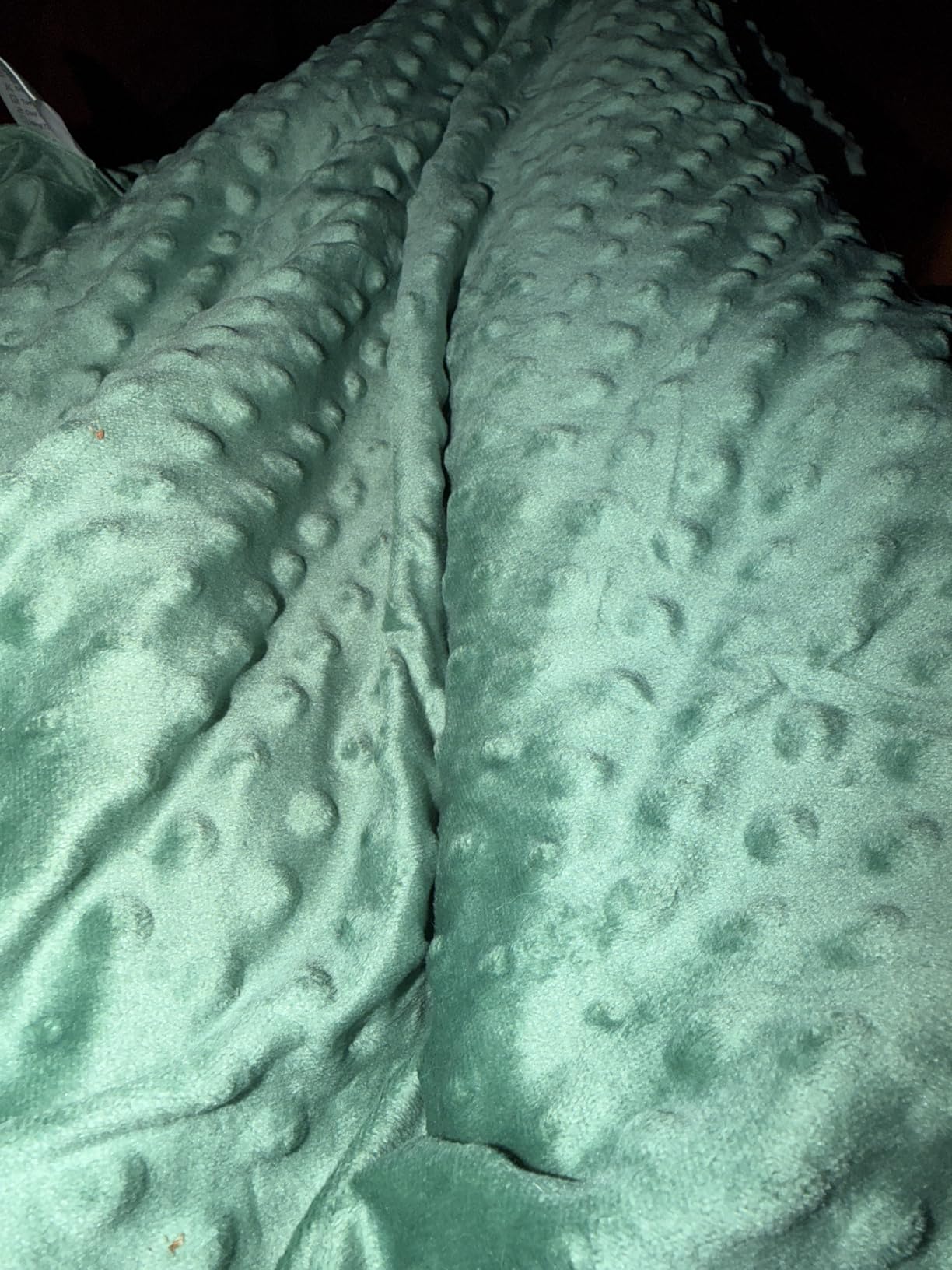 TONGDADA Weighted Blanket Cover (Dark Green Minky Dot, 48''x72'' Duvet Cover) customer photo 1
