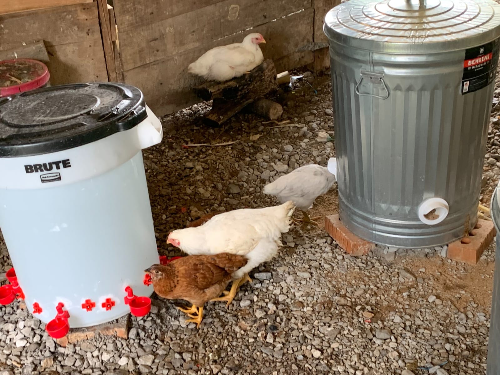 Poultry Pro DIY Chicken Feeder Kit, Weatherproof, 3 Ports & Hole Saw customer photo 1