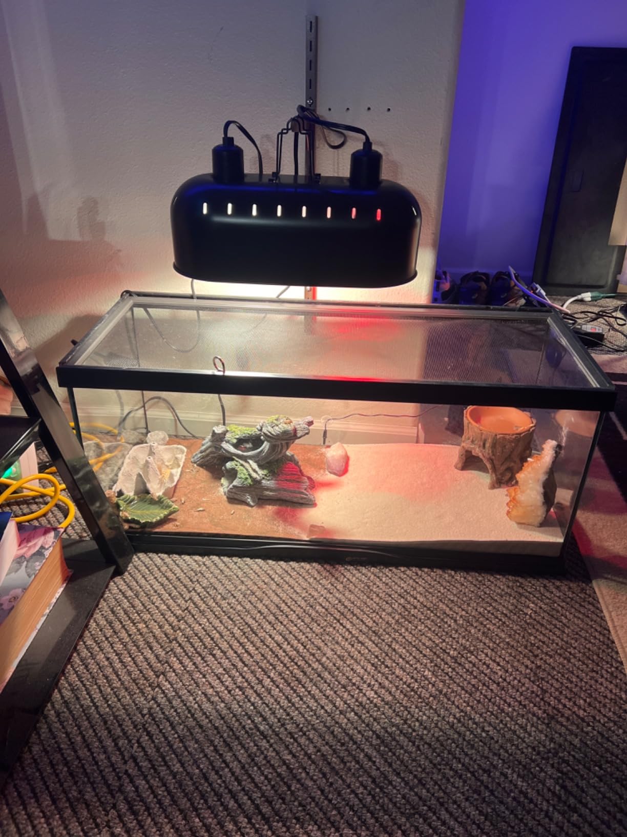DXOPHIEX 15inch Dual Reptile Light Fixture Dual Reptile Heat Lamp customer photo 2