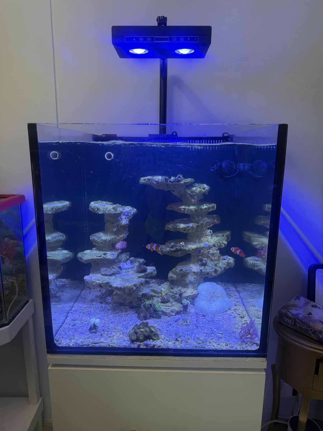 Aquarium Light - 95 Watt Sunrise Sunset Moonlight, Group Control Program Coral Reef Light Dimmable Full Spectrum for Marine Tanks,Saltwater Tank Light with Timer (Brackets) customer photo 2