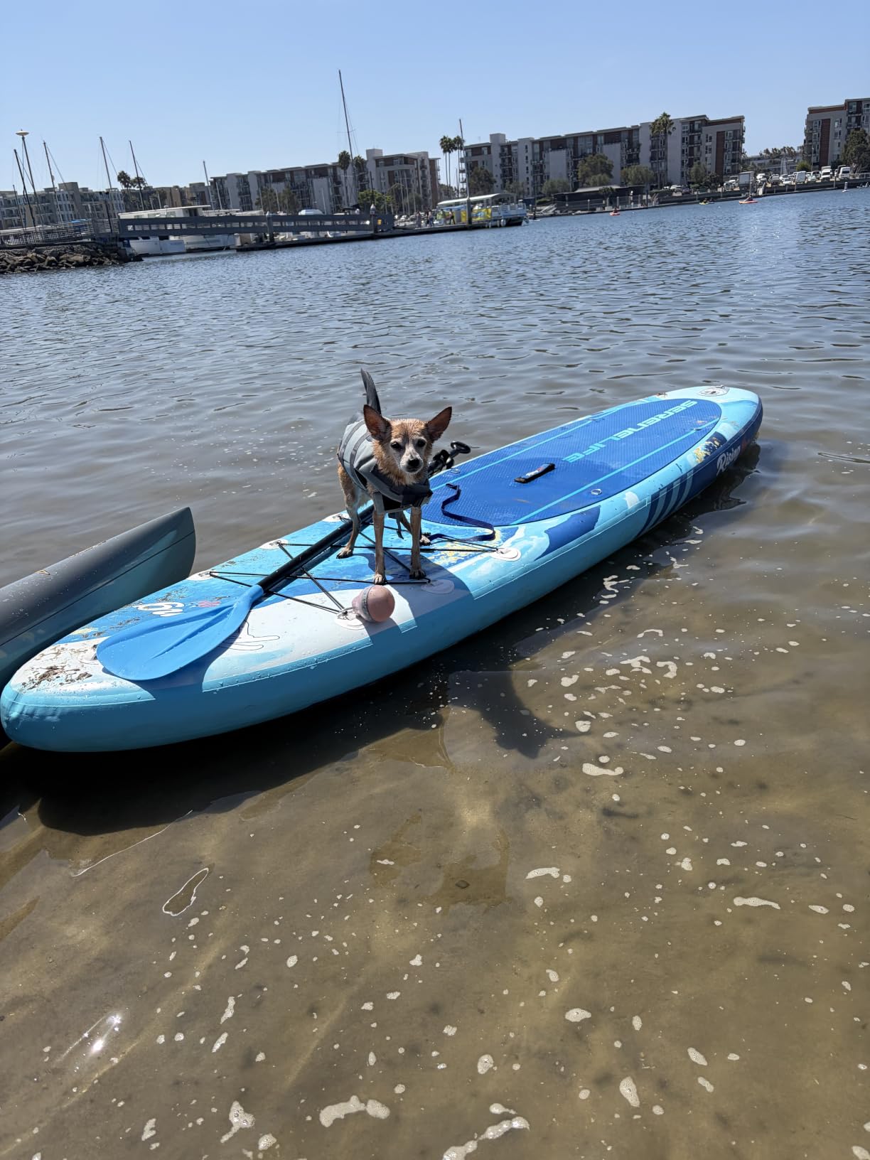 Karltion SUP Paddle - 3-Piece Adjustable Aluminium SUP Paddle with Glass Fiber Blade for Surfing, Floating, Water Sports customer photo 2