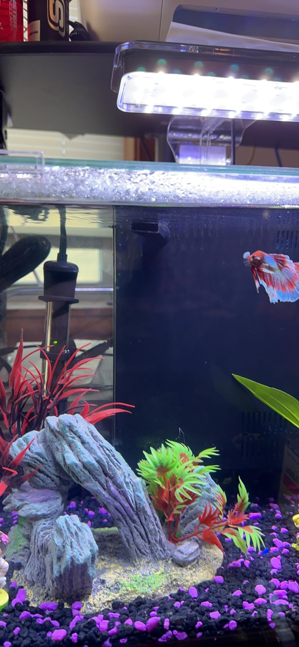 GloFish Submersible Heater 50 Watts, for Aquariums Up to 10 Gallons, UL Listed,BLACK customer photo 2