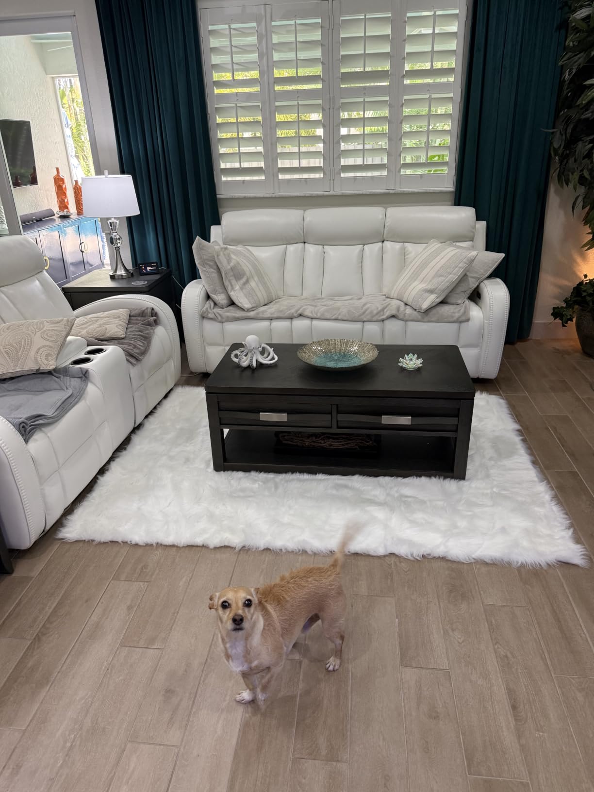 linmopm Faux Fur Sheepskin Fluffy Shag Fuzzy Rug, White, 2x6 ft Runner | High-Density Cushion, For Bedroom Bedside Living Room Sofa Cover Floor, Plush Carpet customer photo 2