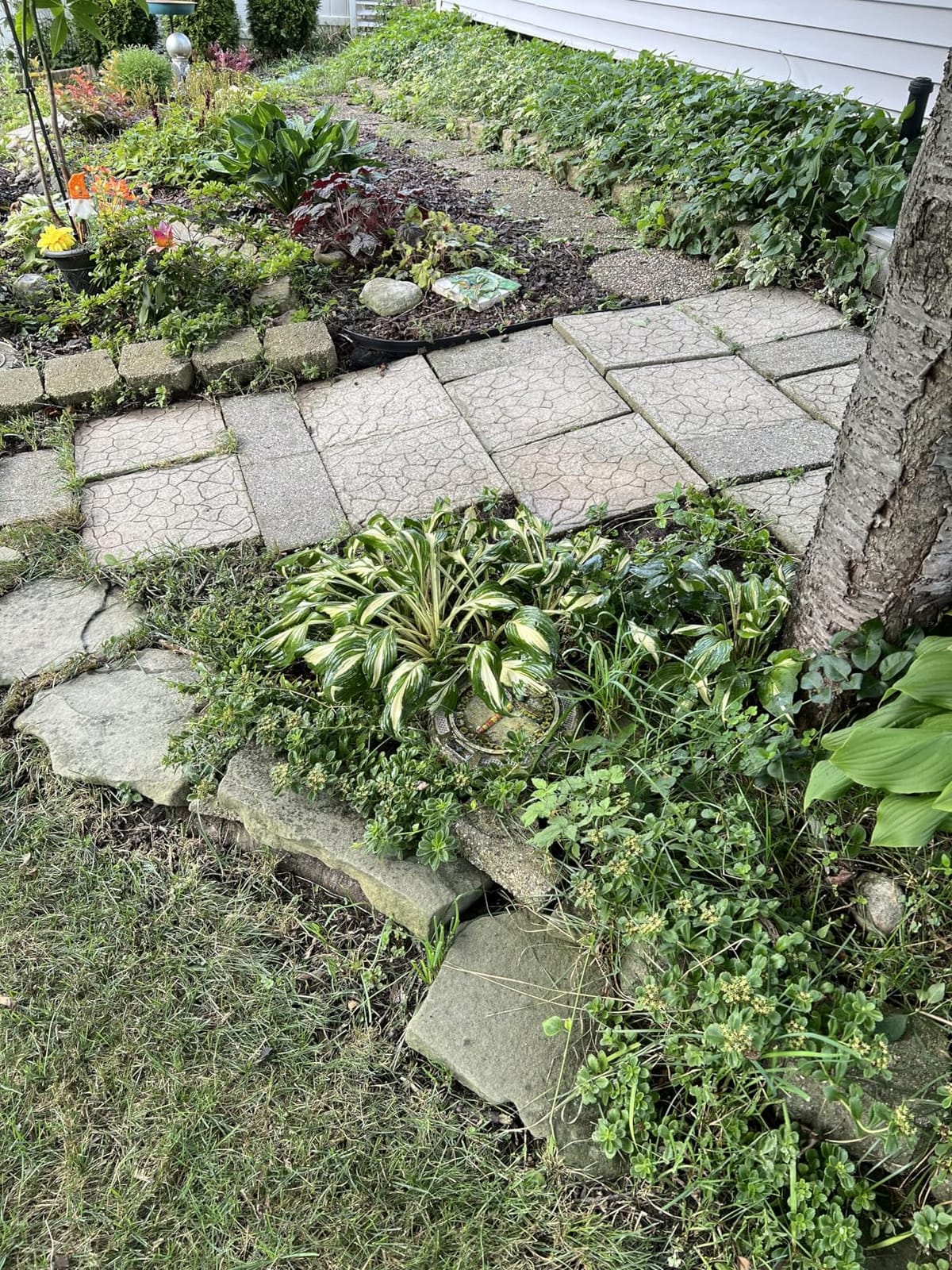 Greenworks 2000 PSI (1.2 GPM) Electric Pressure Washer customer photo 1