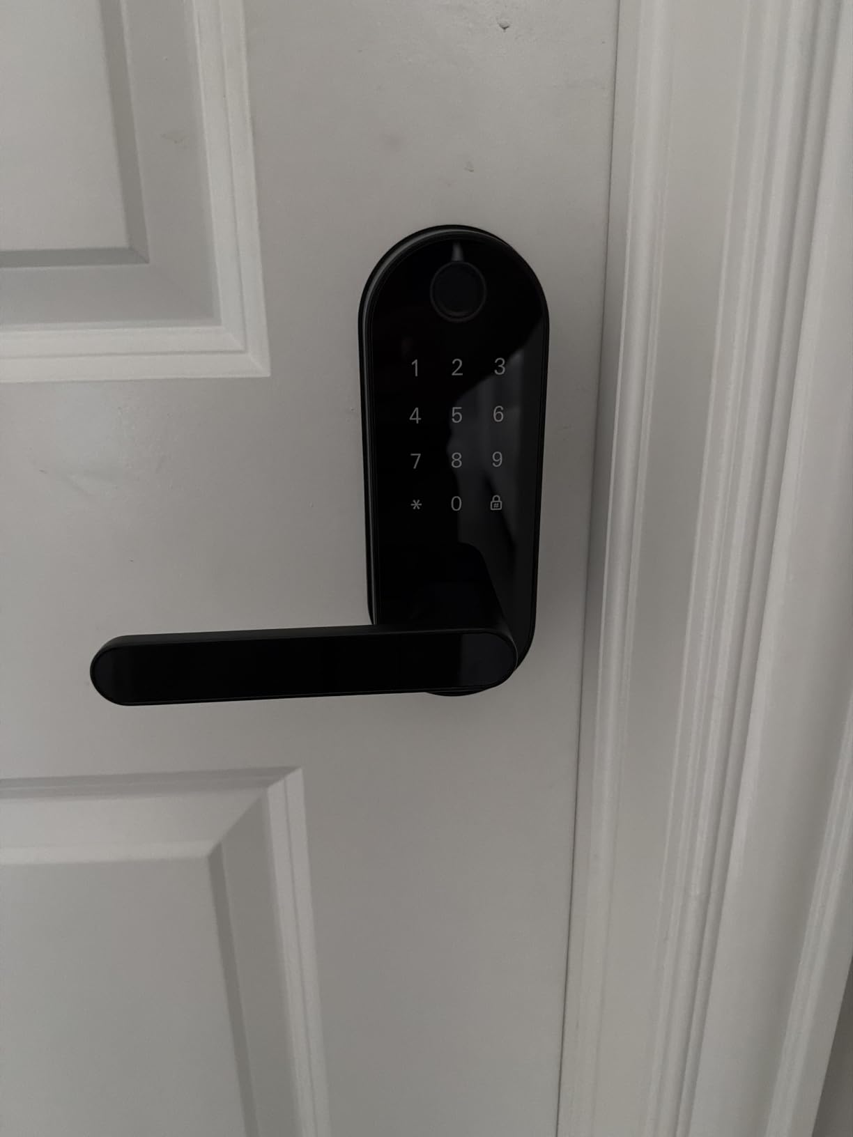 Fingerprint Smart Door Lock with Handle & Keypad – Bluetooth Keyless Entry for Front Door, Home, Kids, Guests, Airbnb & Rental, App + Code Access, Compatible with Alexa & Google, Easy DIY Install customer photo 1