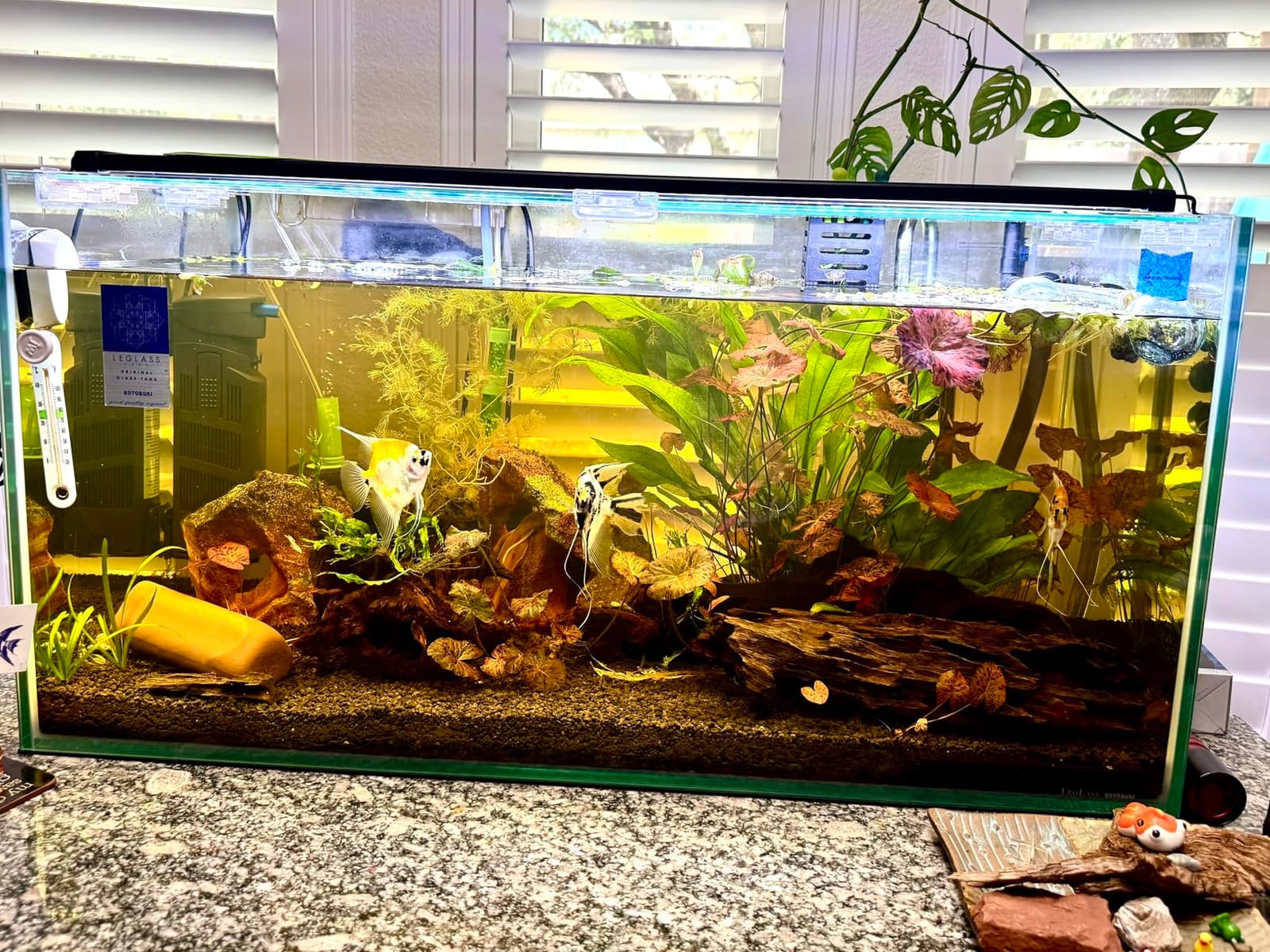 hygger Auto On Off LED Aquarium Light, Full Spectrum Fish Tank Light with LCD Monitor, 24/7 Lighting Cycle, 7 Colors, Adjustable Timer, IP68 Waterproof, 3 Modes for 48