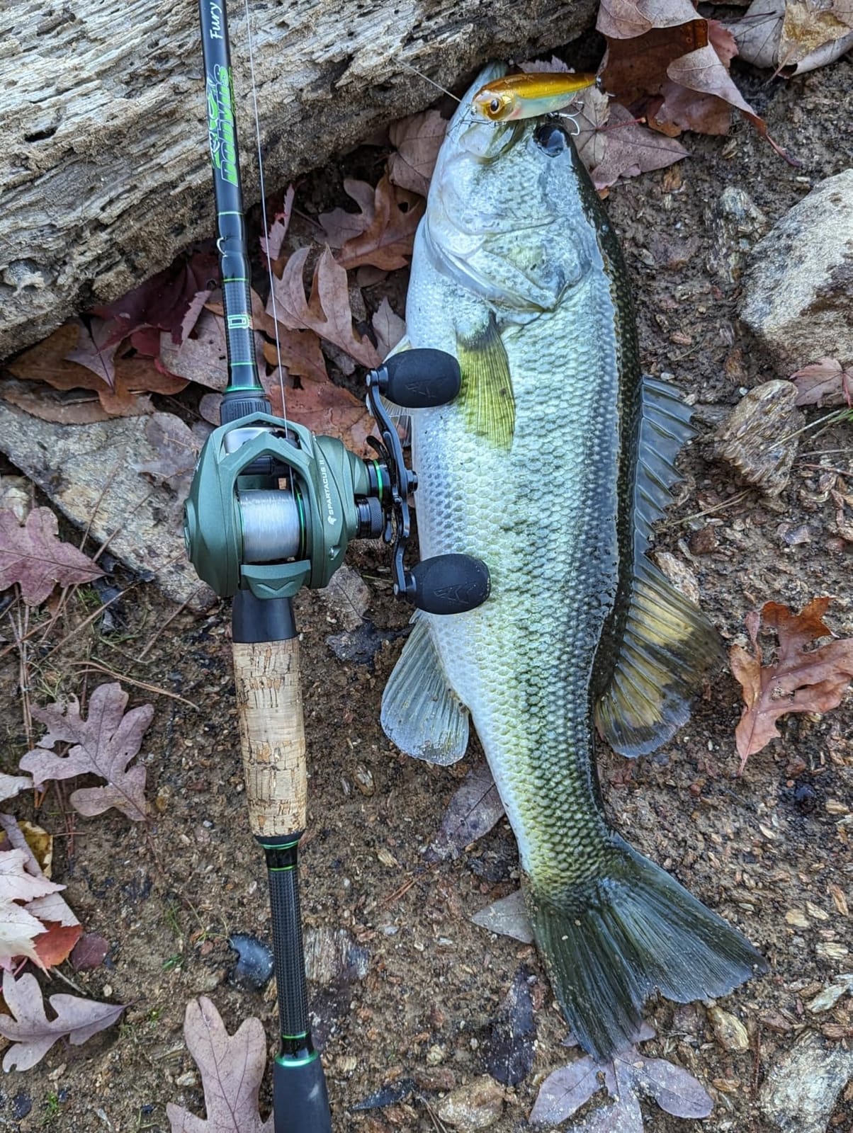 KastKing Spartacus II Baitcasting Fishing Reels with 7.2:1 Gear Ratio customer photo 2