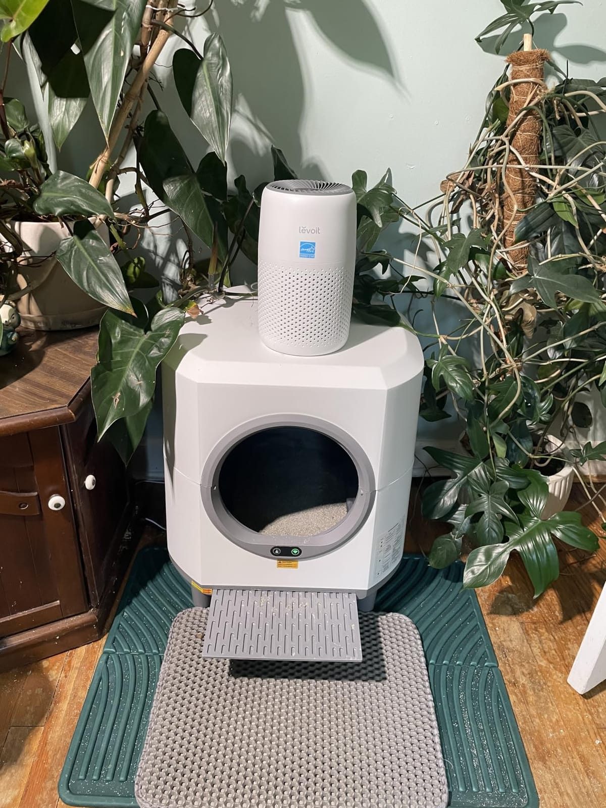 Levoit Air Purifiers for Bedroom Home Pets Dorm Room, Small Air Purifiers customer photo 2