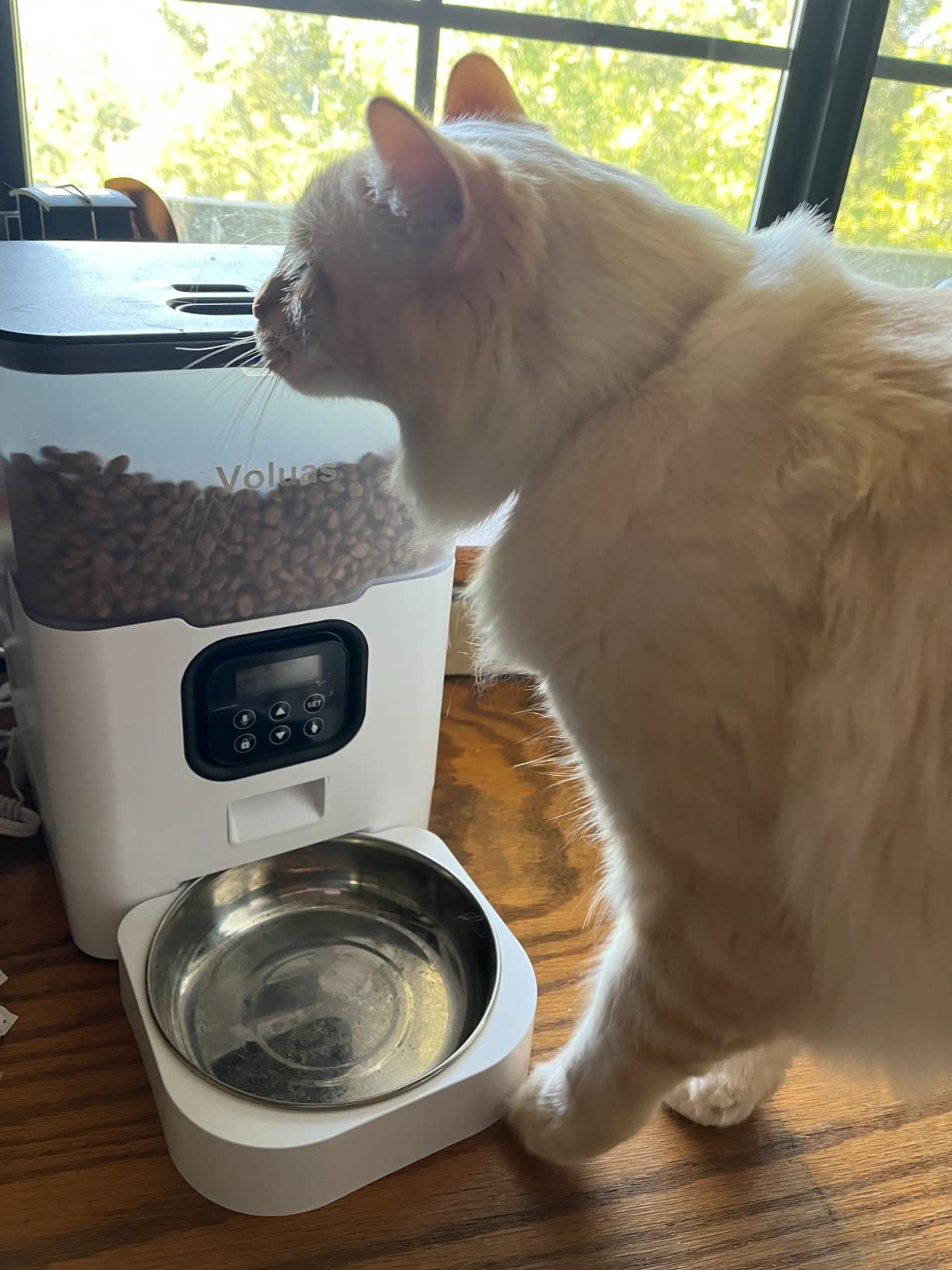 VOLUAS Automatic Cat Feeder, 4L Timed Dry Food Dispenser for Cats & Dogs customer photo 1