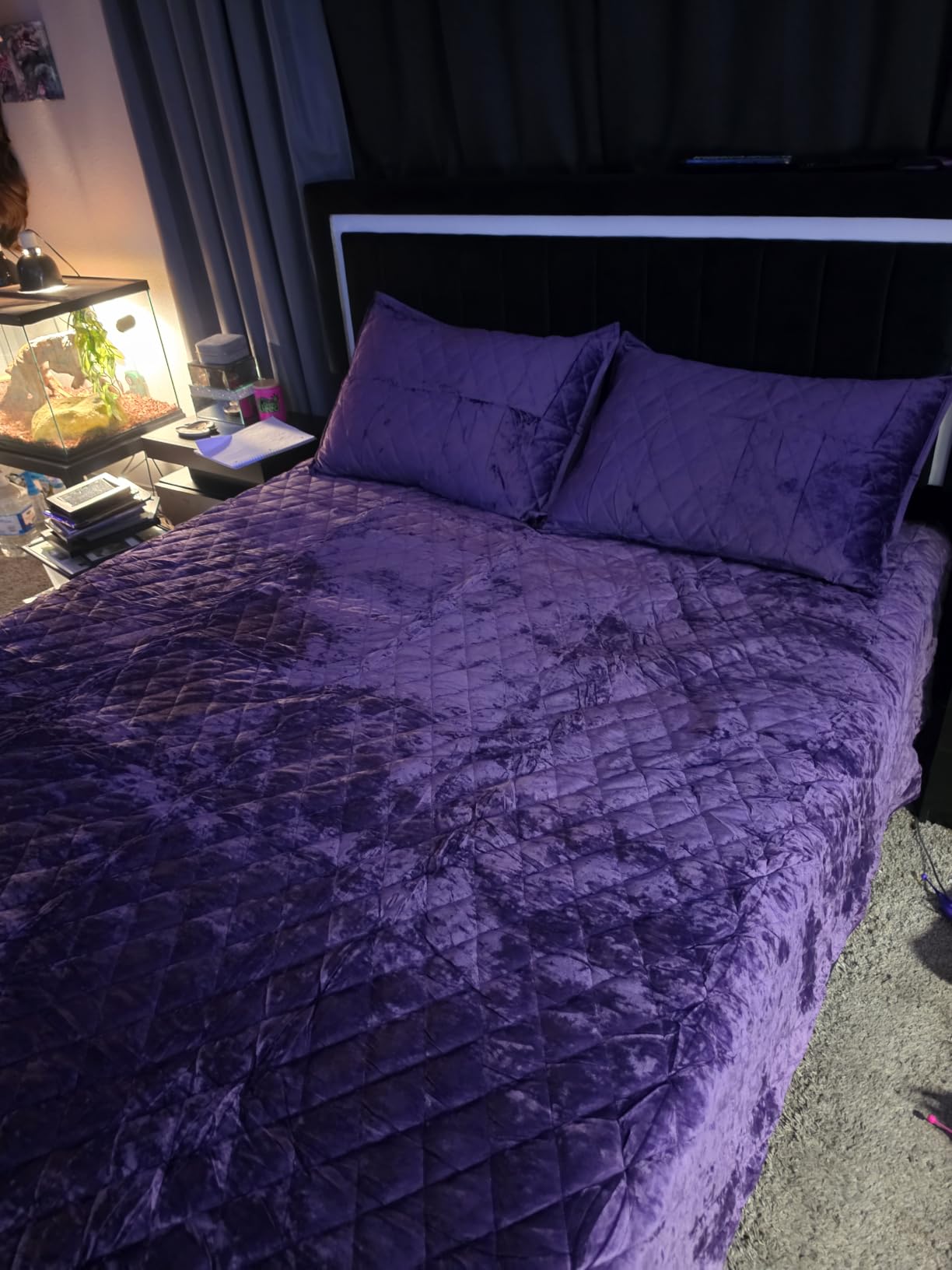 Fredsure Distressed Velvet Quilt Set, 3 Pieces Purple Queen, Distressed Velvet Face and Brushed Microfiber Reverse, with Diamond Quilting customer photo 1