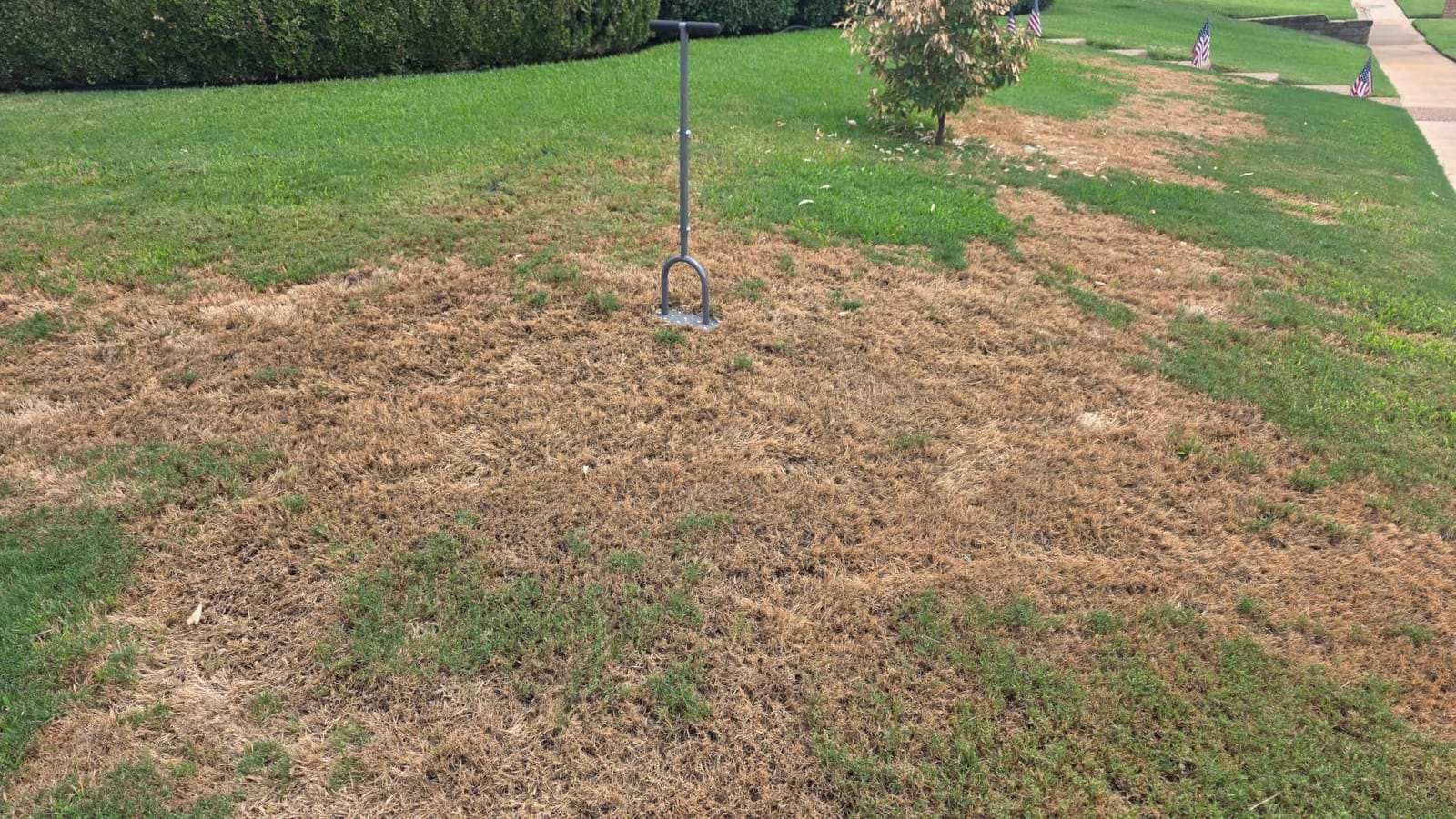 Walensee Manual Lawn Aerator Tool with 15 Iron Spikes, Garden Spike Aerator | Alternative to aerator shoes, patented grass aerator creates small holes for easier lawn aeration and healthier roots. customer photo 2