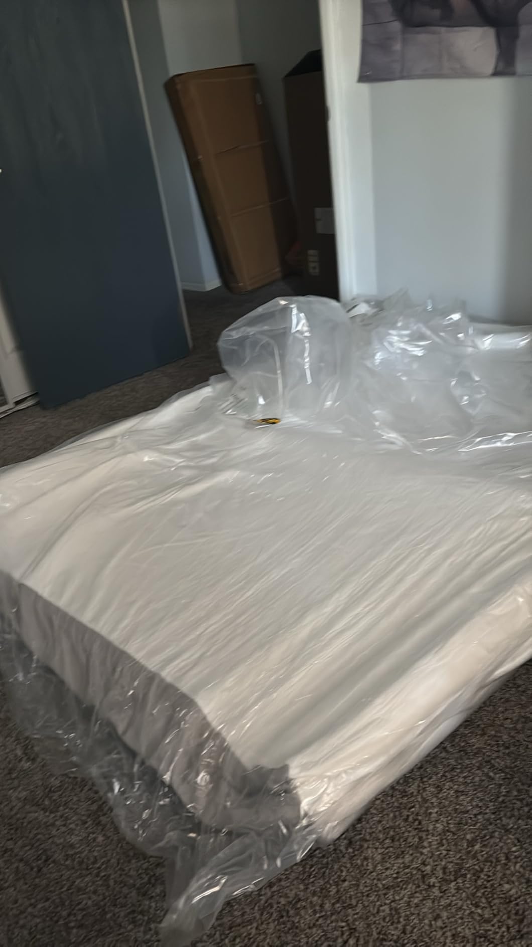 Amazon Basics Memory Foam Mattress, Soft Plush Feel, Breathable, 12 Inch, Queen, White/Grey customer photo 2
