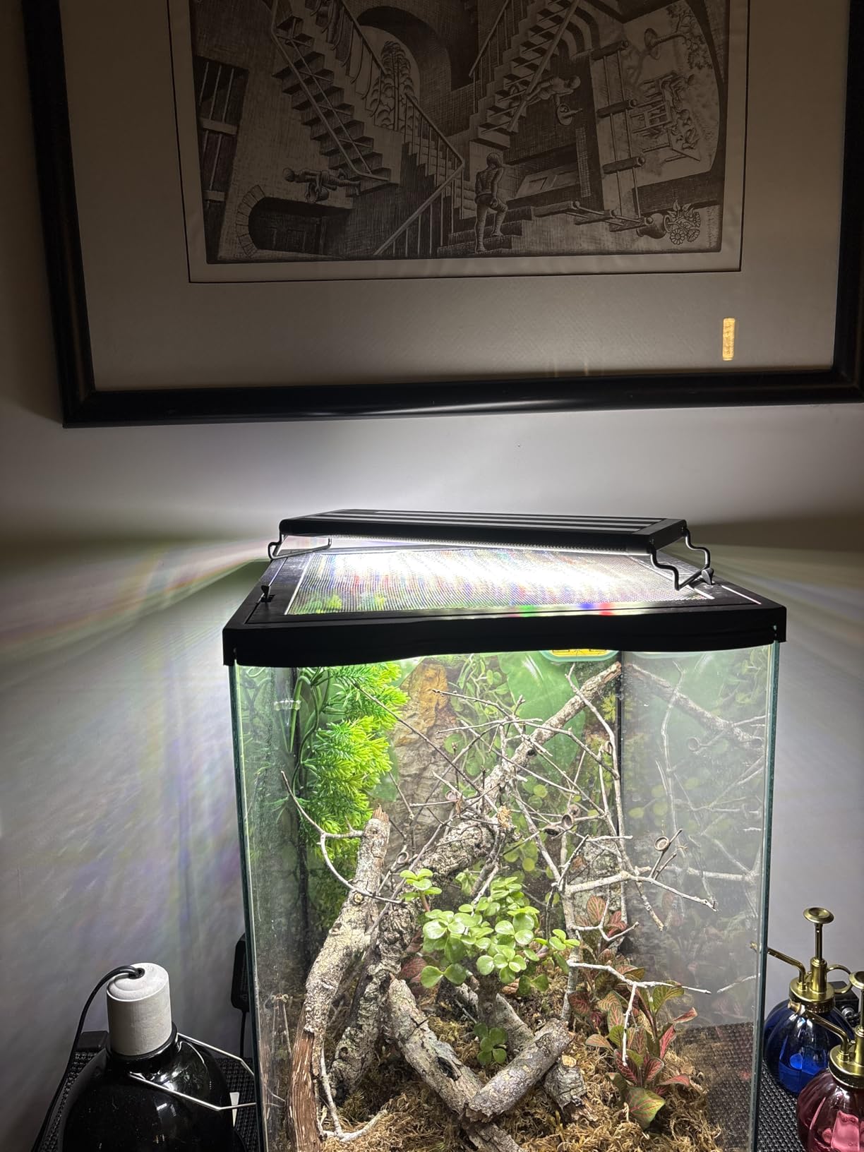 SEAOURA Led Aquarium Light for Plants Growth, Fish Tank Light 12-18 Inch customer photo 2