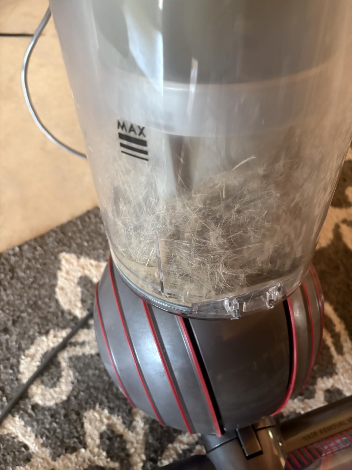 Dyson Ball Animal 3 Extra Upright Vacuum customer photo 1