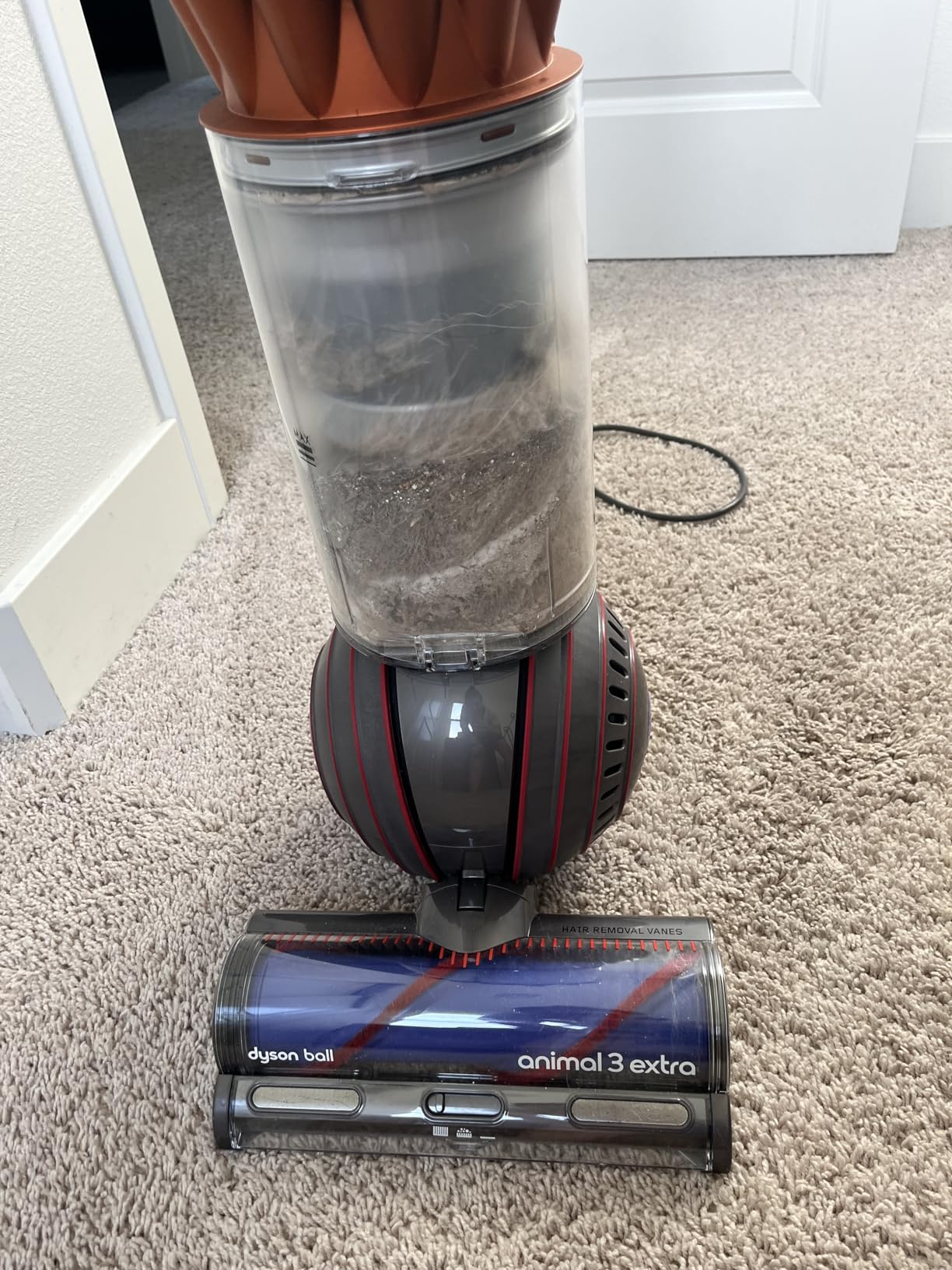 Dyson Ball Animal 3 Extra Upright Vacuum customer photo 2